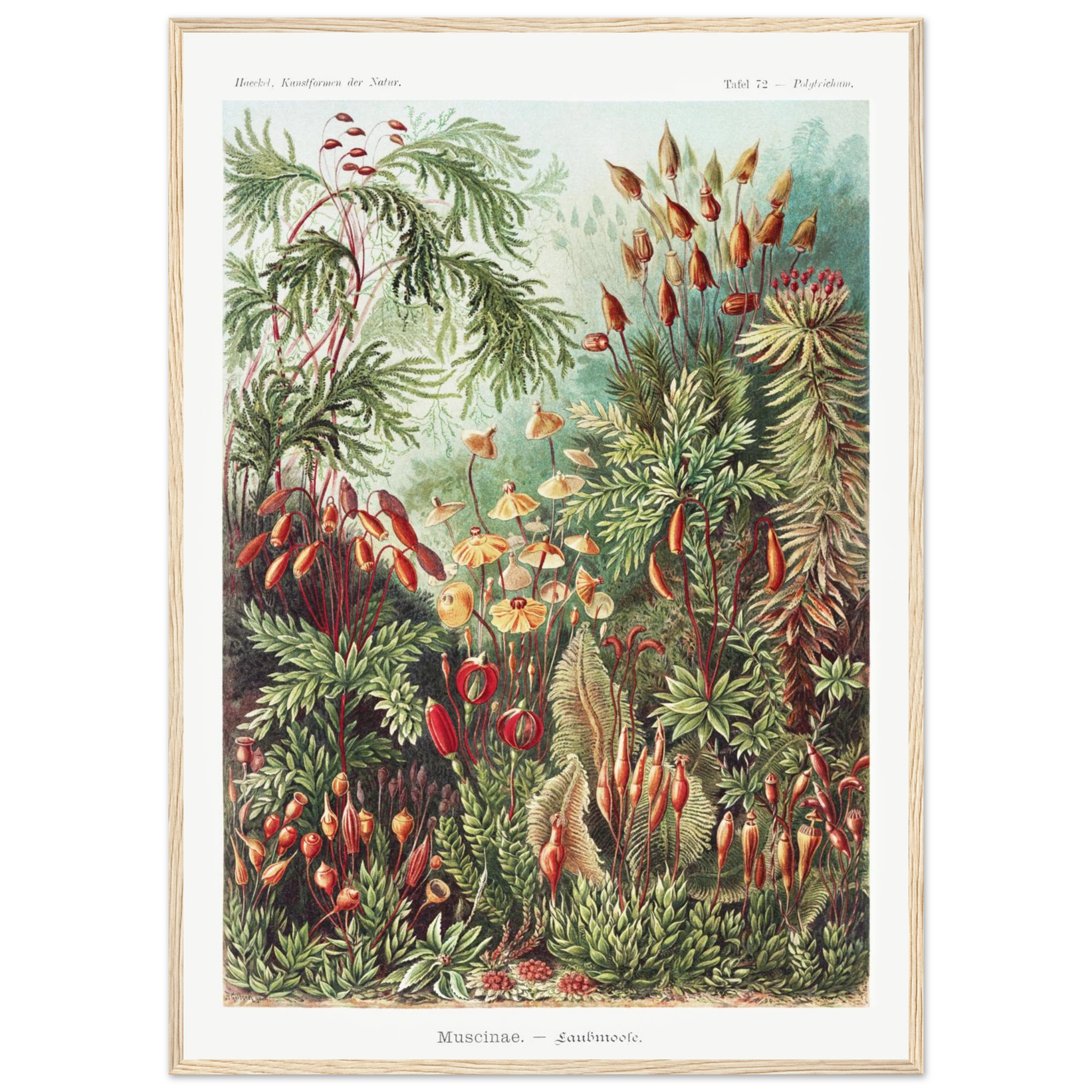 d0aaf21f-40d4-4422-a339-c9c3f719d617