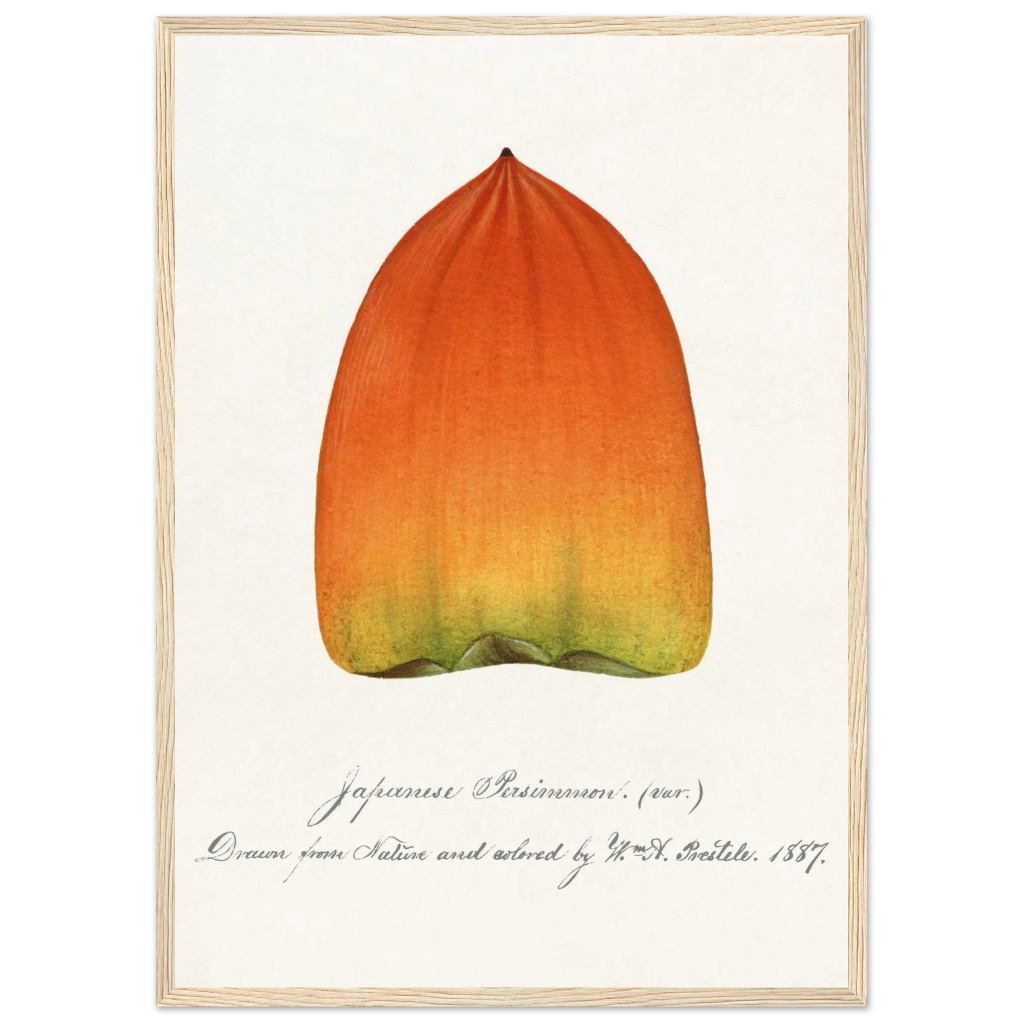 d0be2663-30c3-4308-96ac-b77a343d23dc