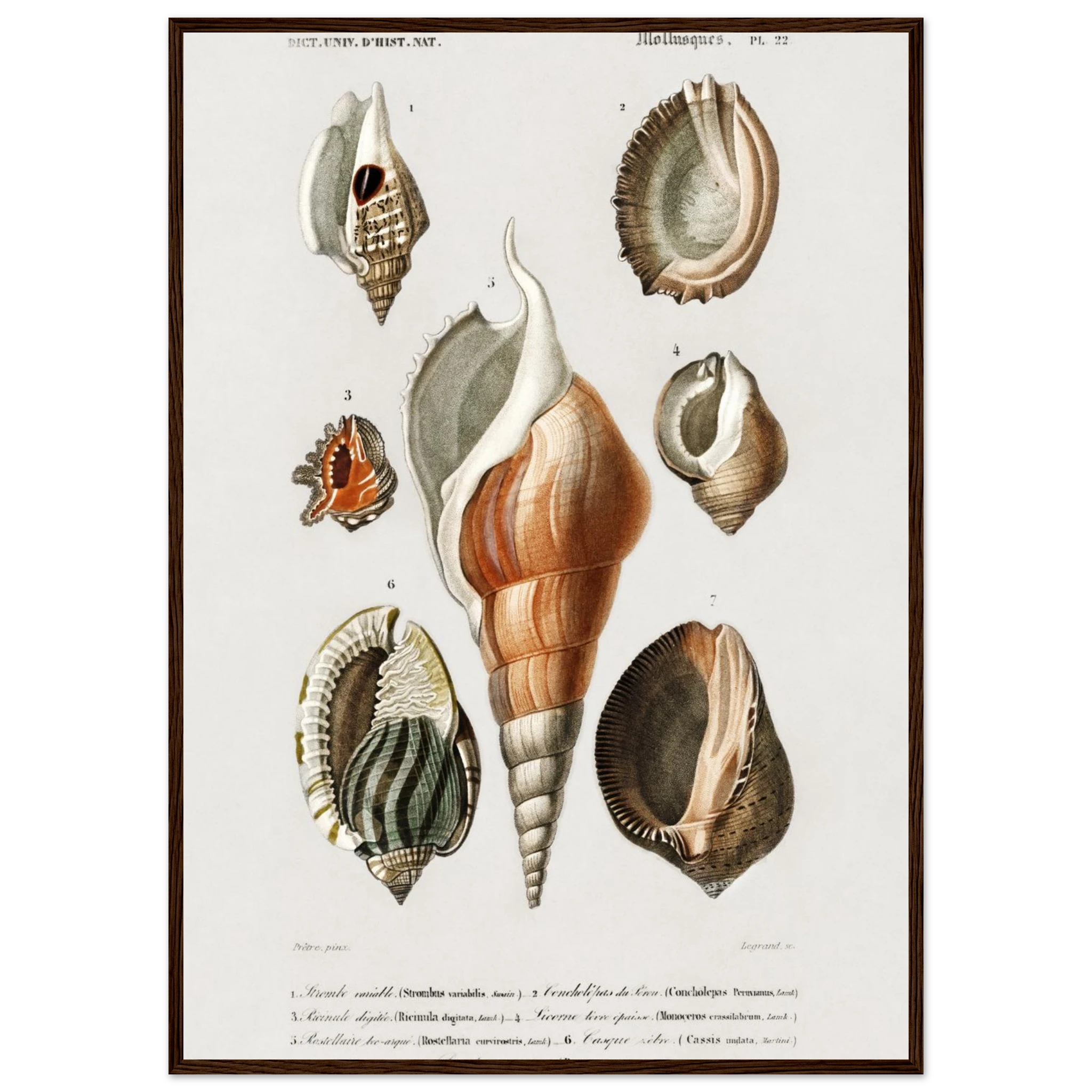 d1041960-87c3-4db8-854e-285be94caa8f