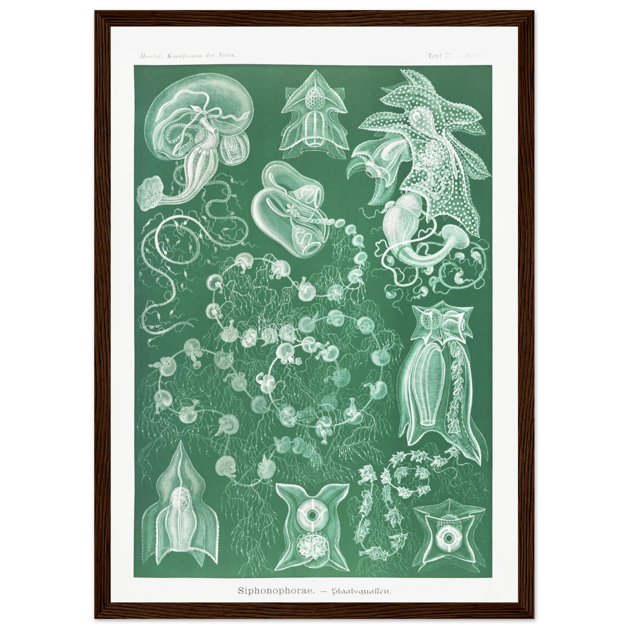 d10ece65-f484-47ae-9ab0-79b495d64986