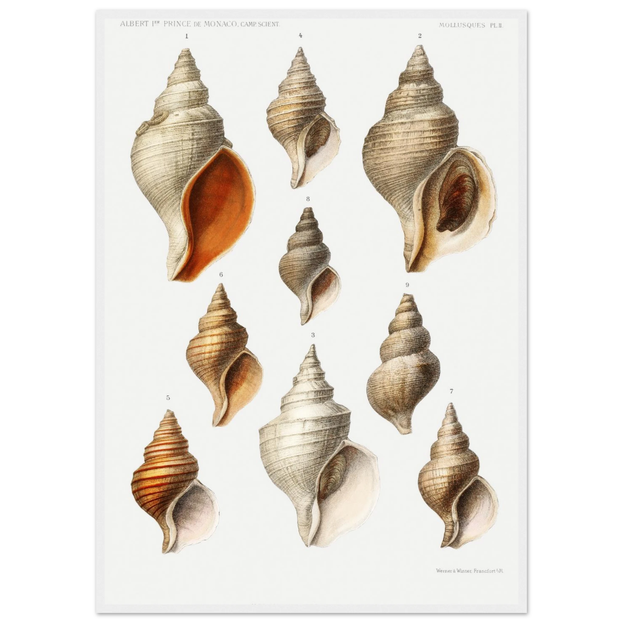 d12e7f96-2311-46aa-b262-a71693d6414a