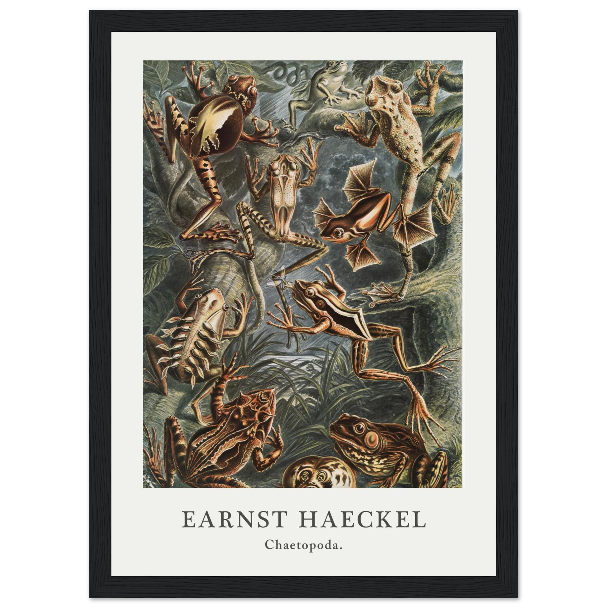 d1372c4b-7995-49b2-851c-65234aa1351d