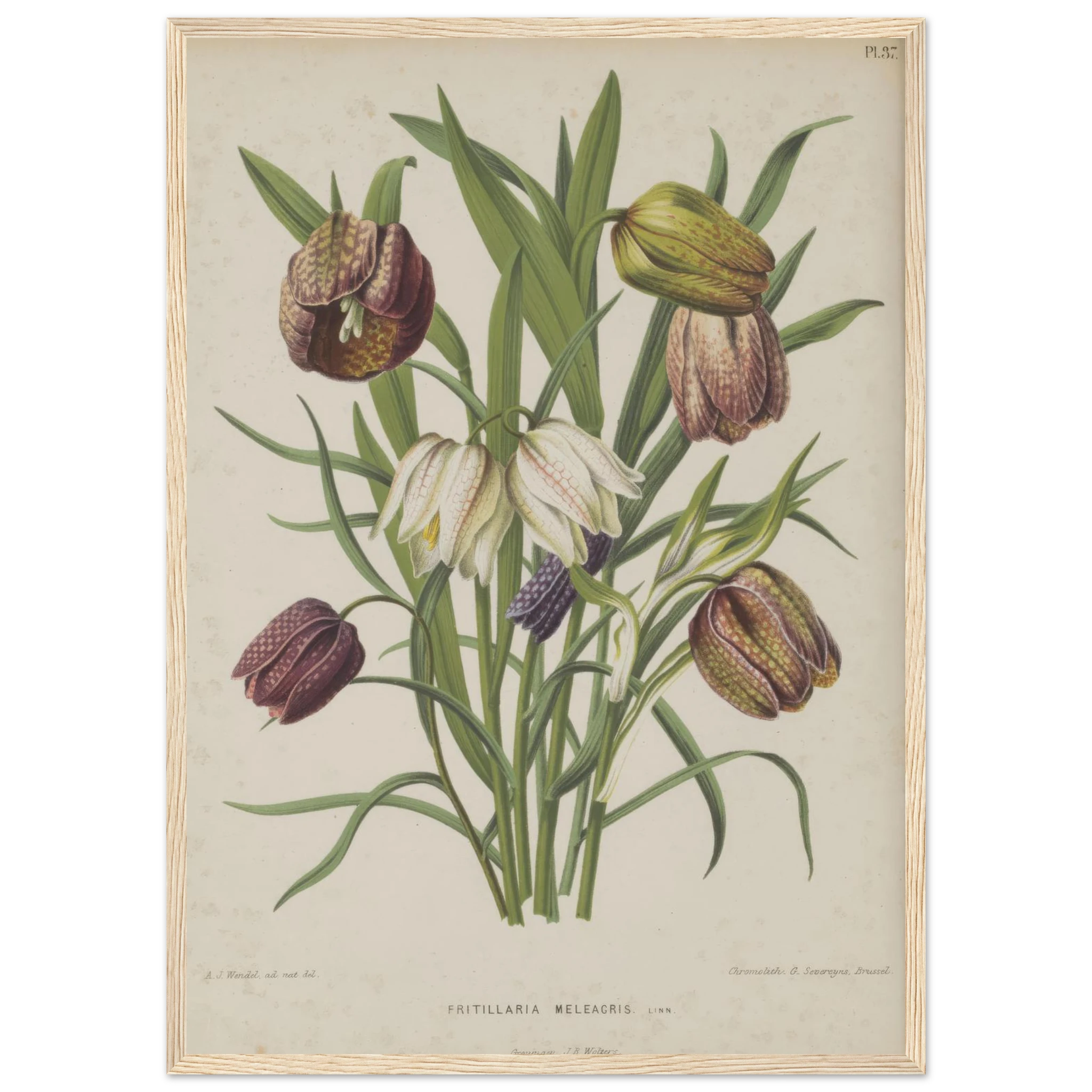 d16814be-a8c2-4427-8074-7744ada61b12