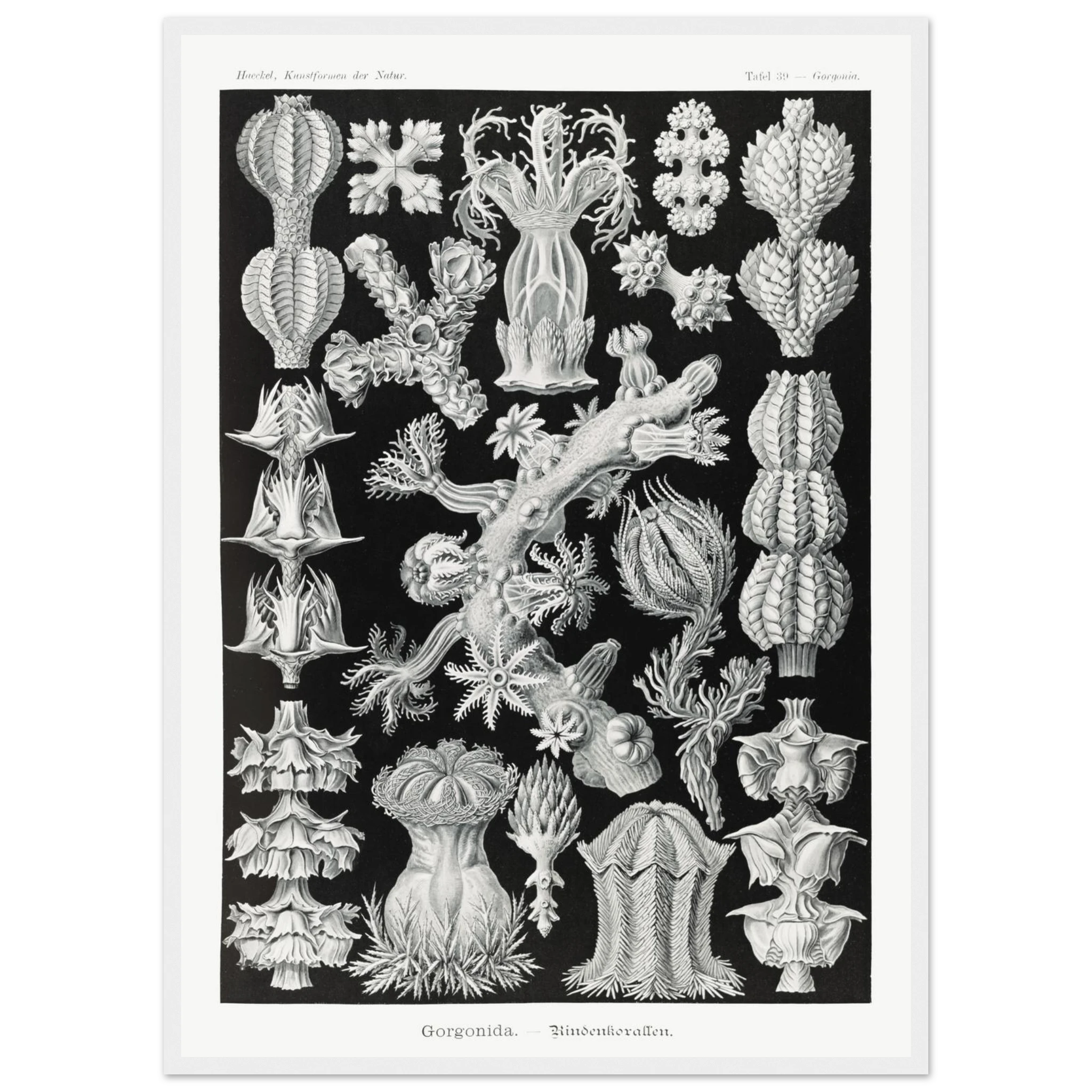 d1ad23dd-8e59-40d8-8953-f5d0b07f4895