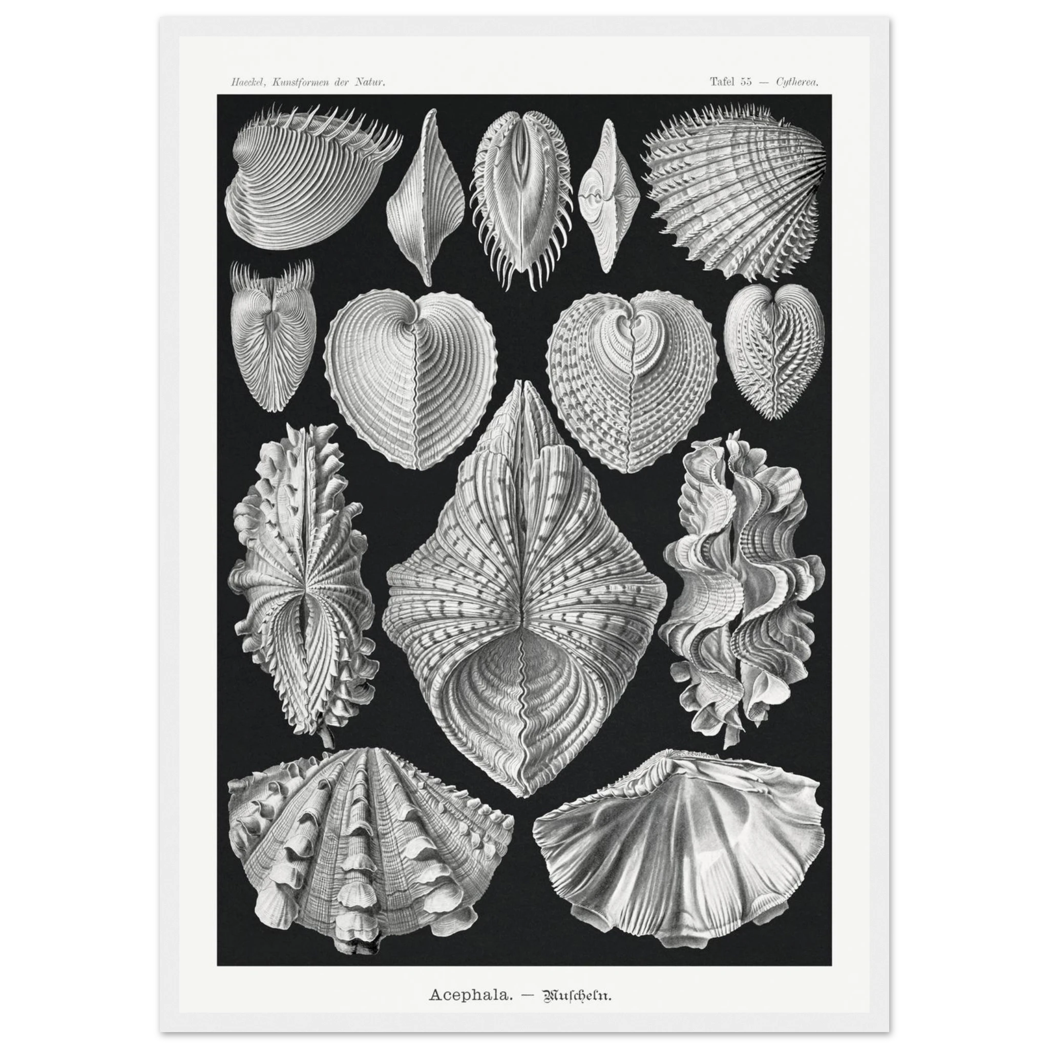 d1bb6703-e014-47ea-bfb4-20f18282374c