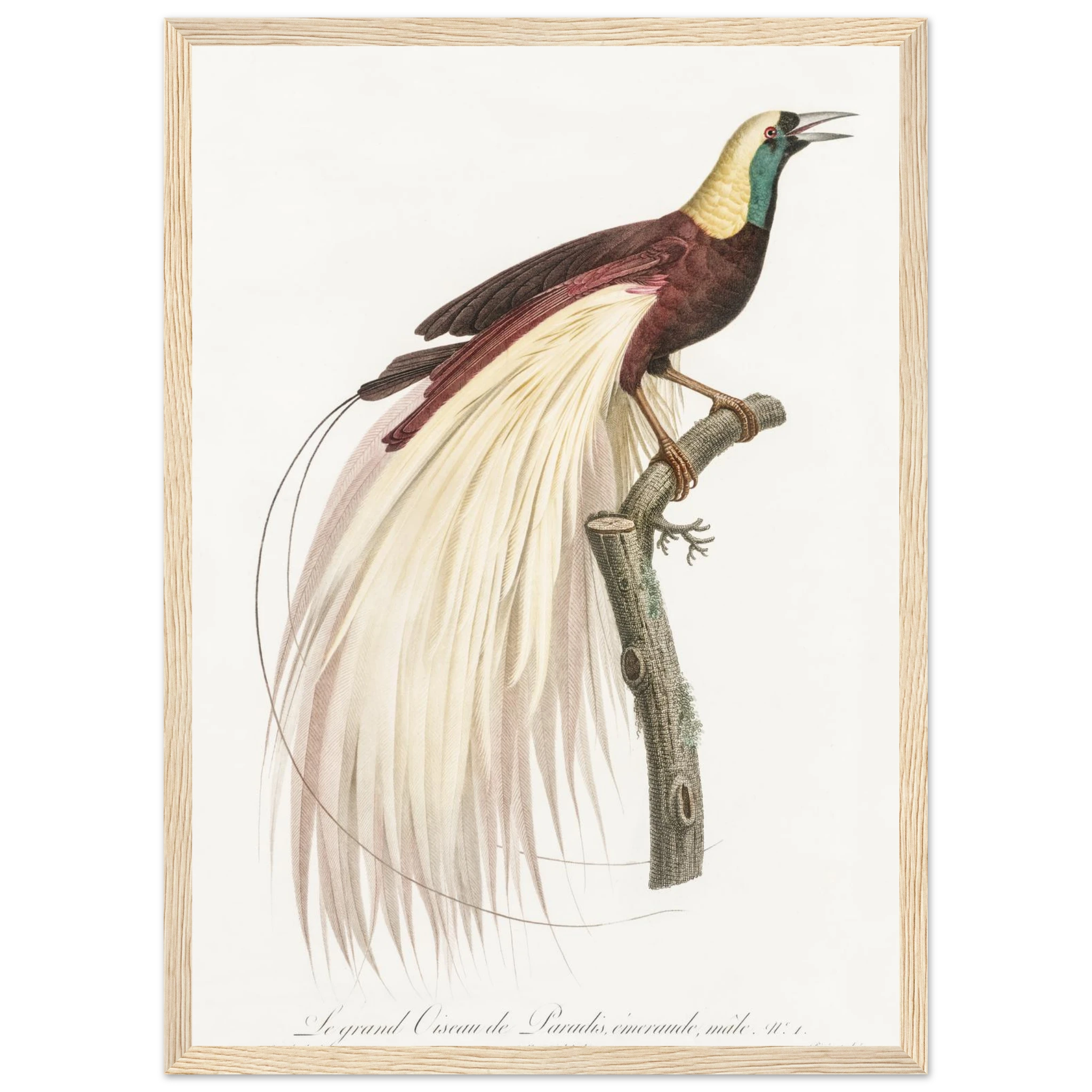 d1c8b63f-30cb-4949-b540-9b601bdcd591