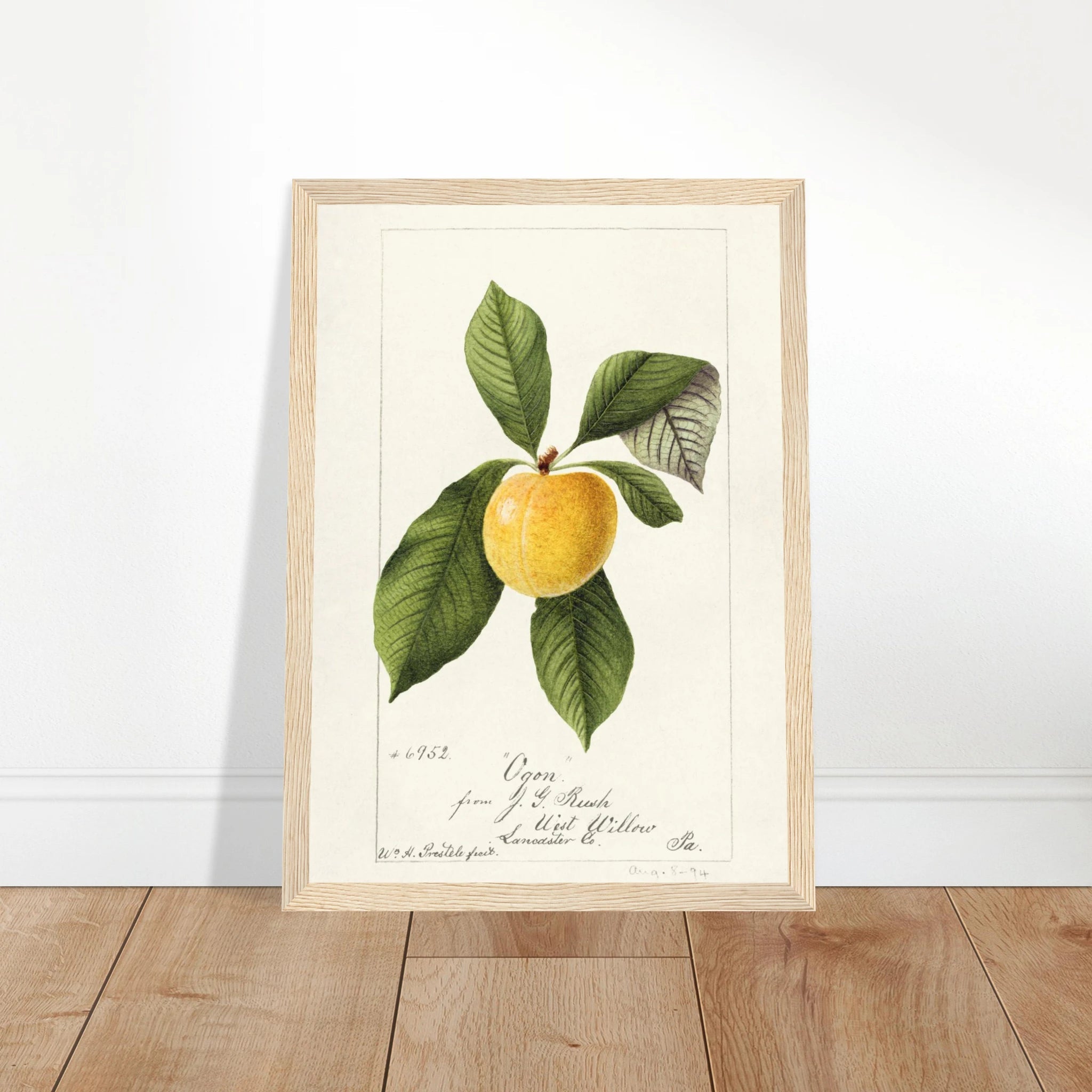 d1dd57cb-6ba9-42b2-bdfc-eb0cf0e84b69