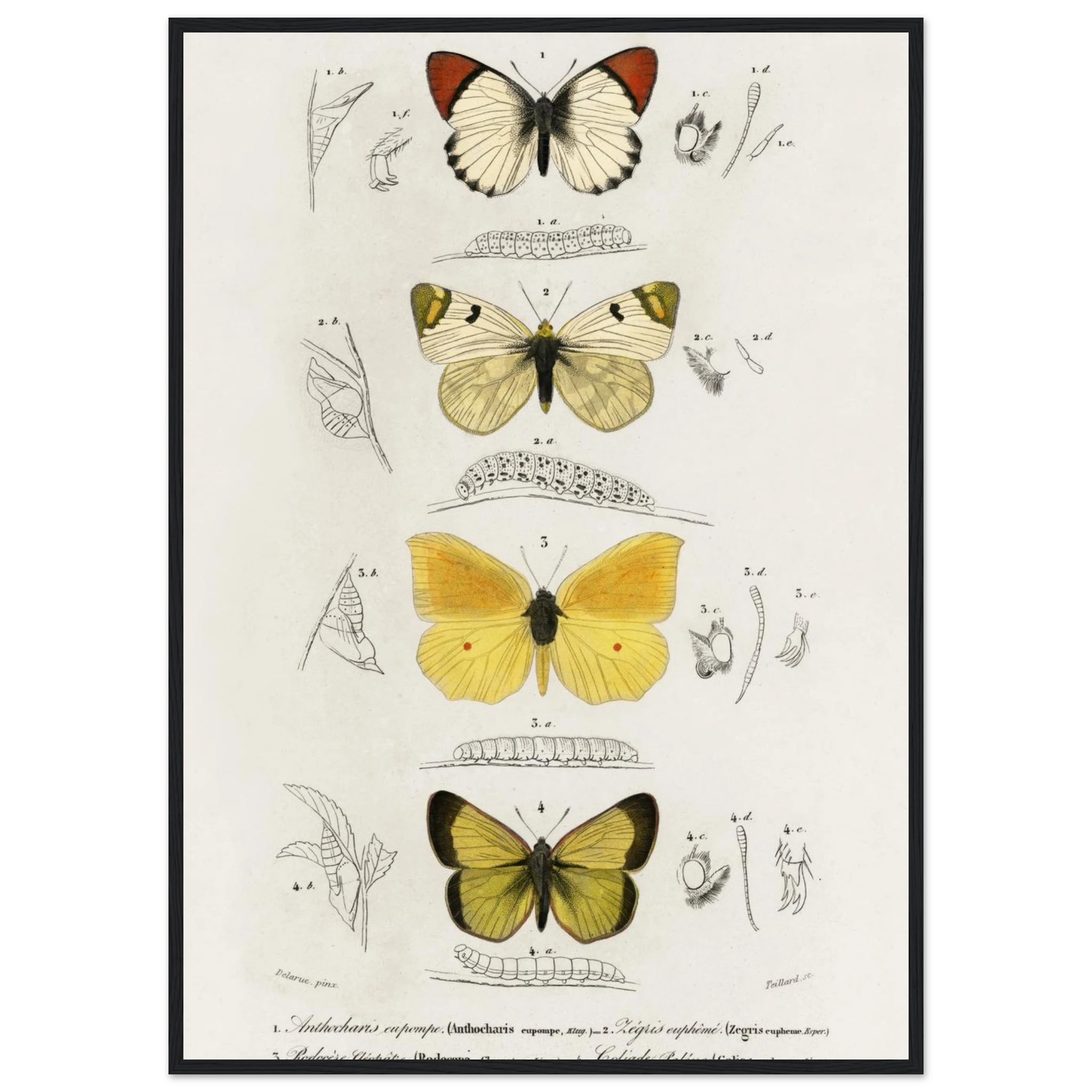 d25d7aa6-d9e0-4bd8-8c94-c57f10acb69a