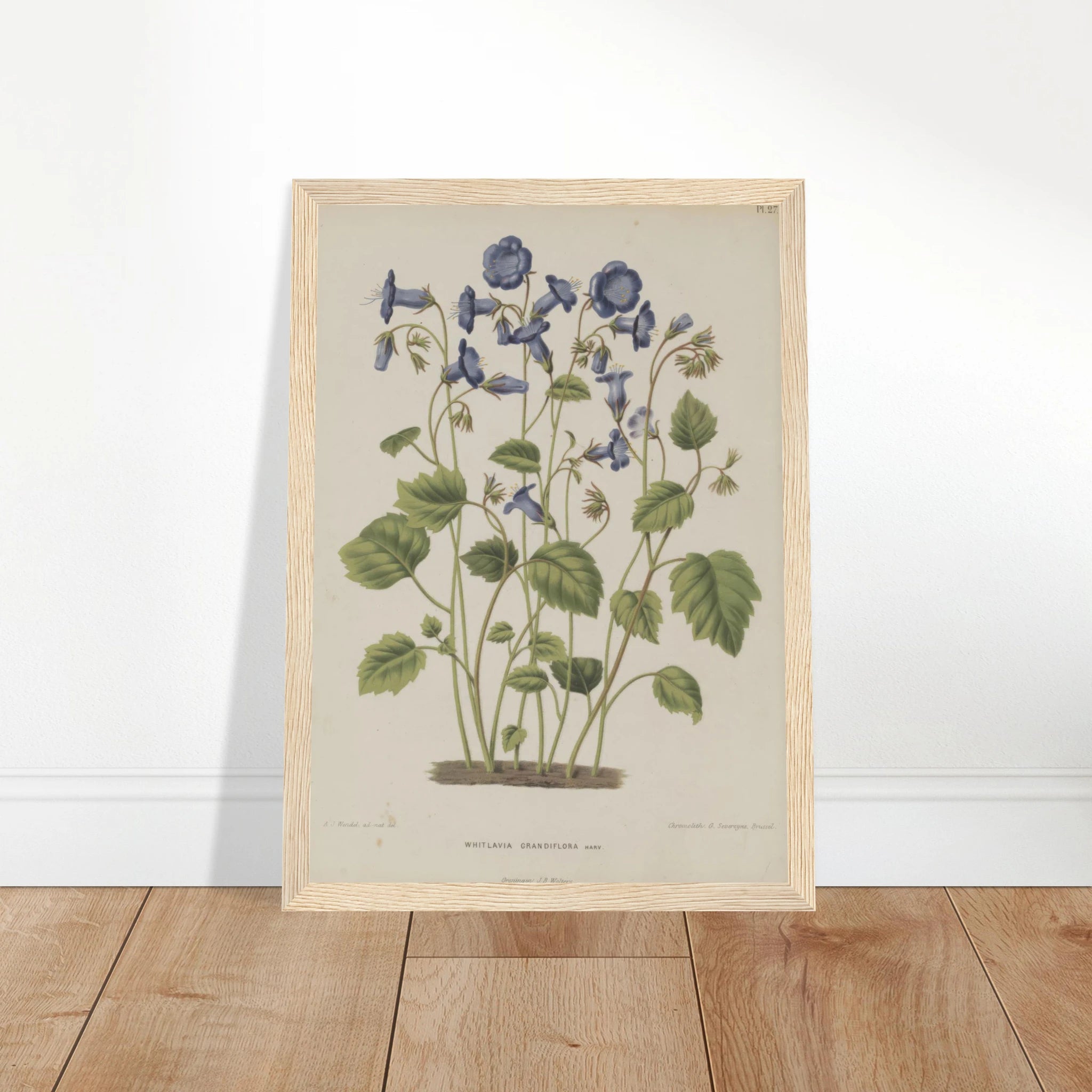 d25e38c4-81d8-4730-a845-0185eba2a549