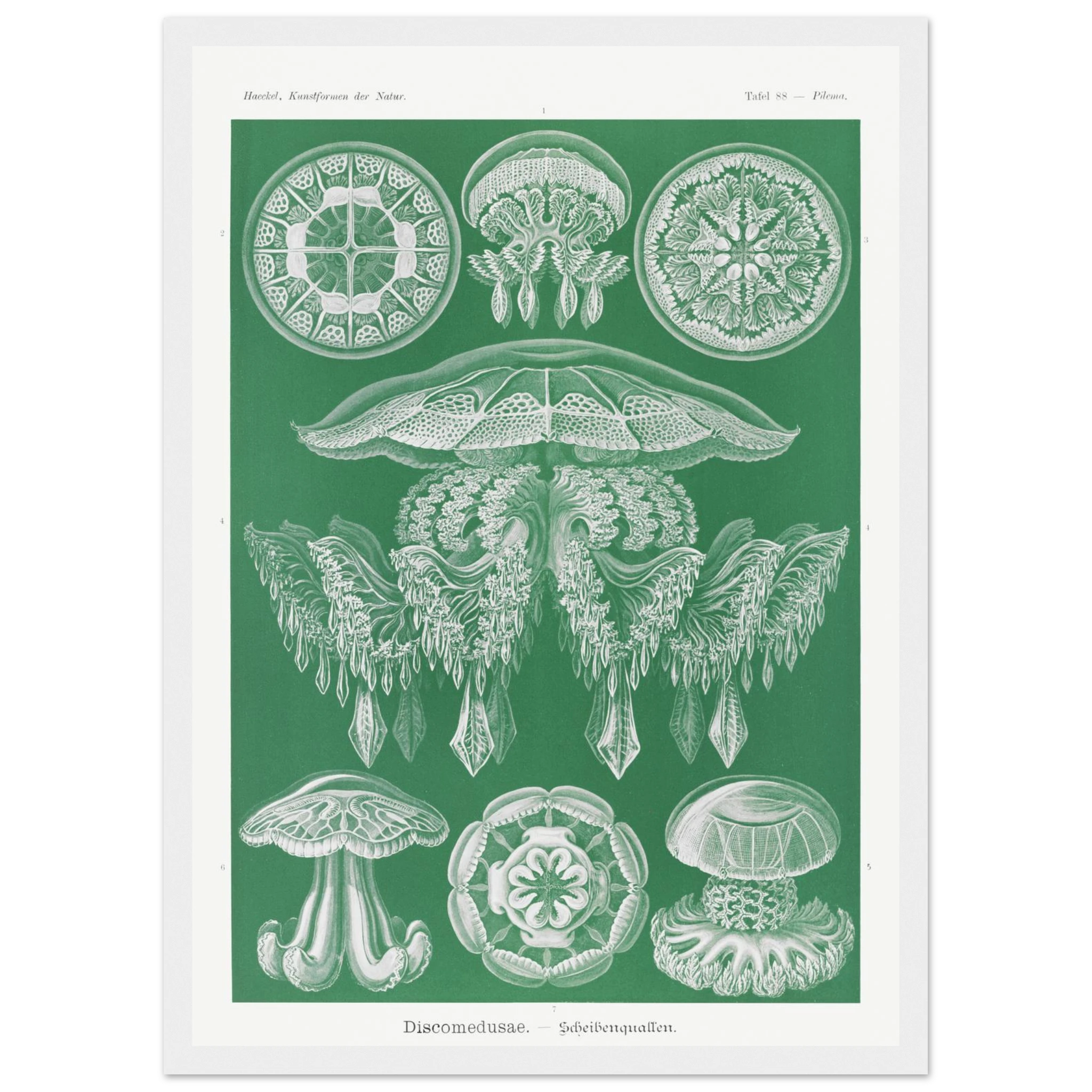 d26d722e-f495-4f86-8b53-bc1f87cd5846