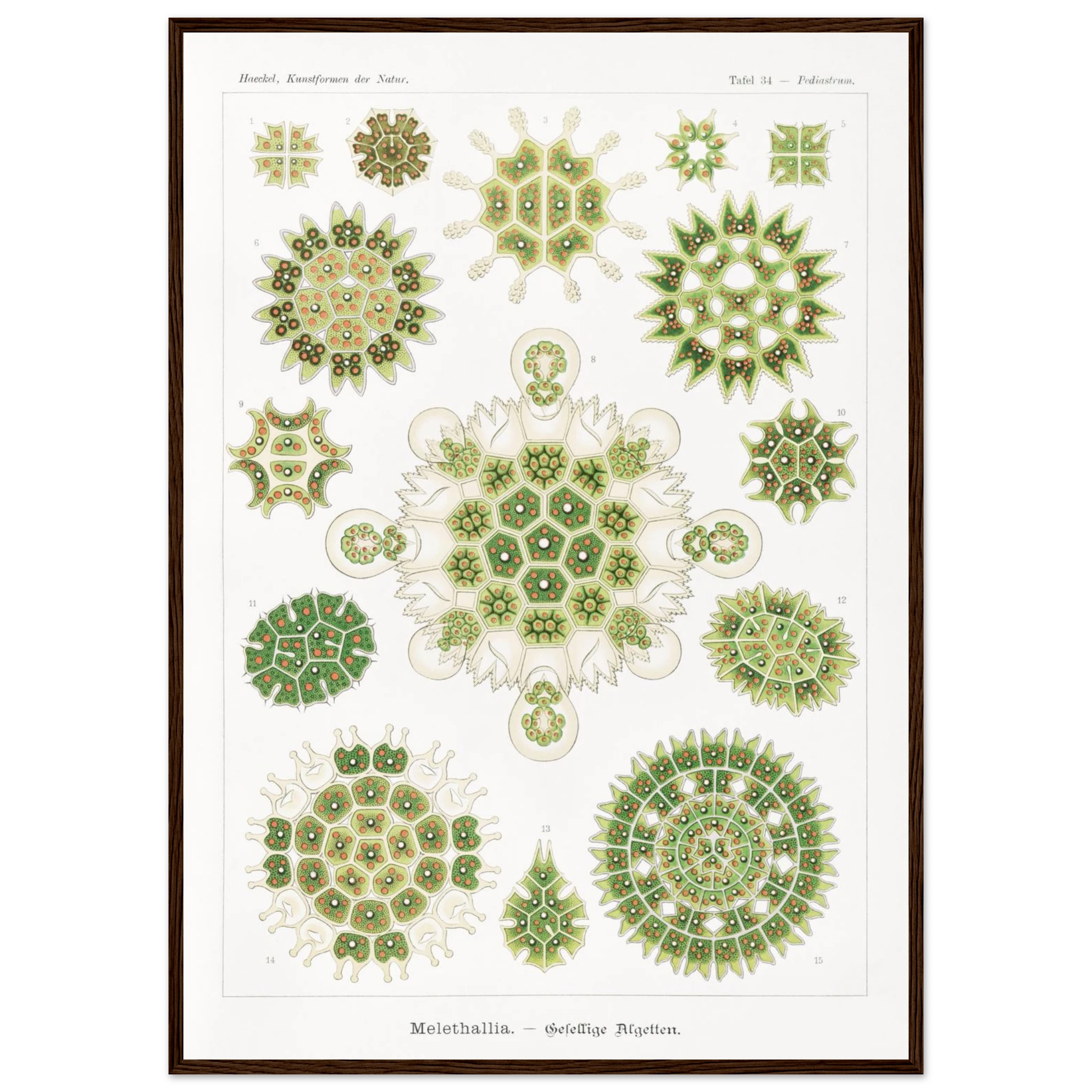 d29cb3d4-99ae-4d5a-8a5b-ea253ff57682