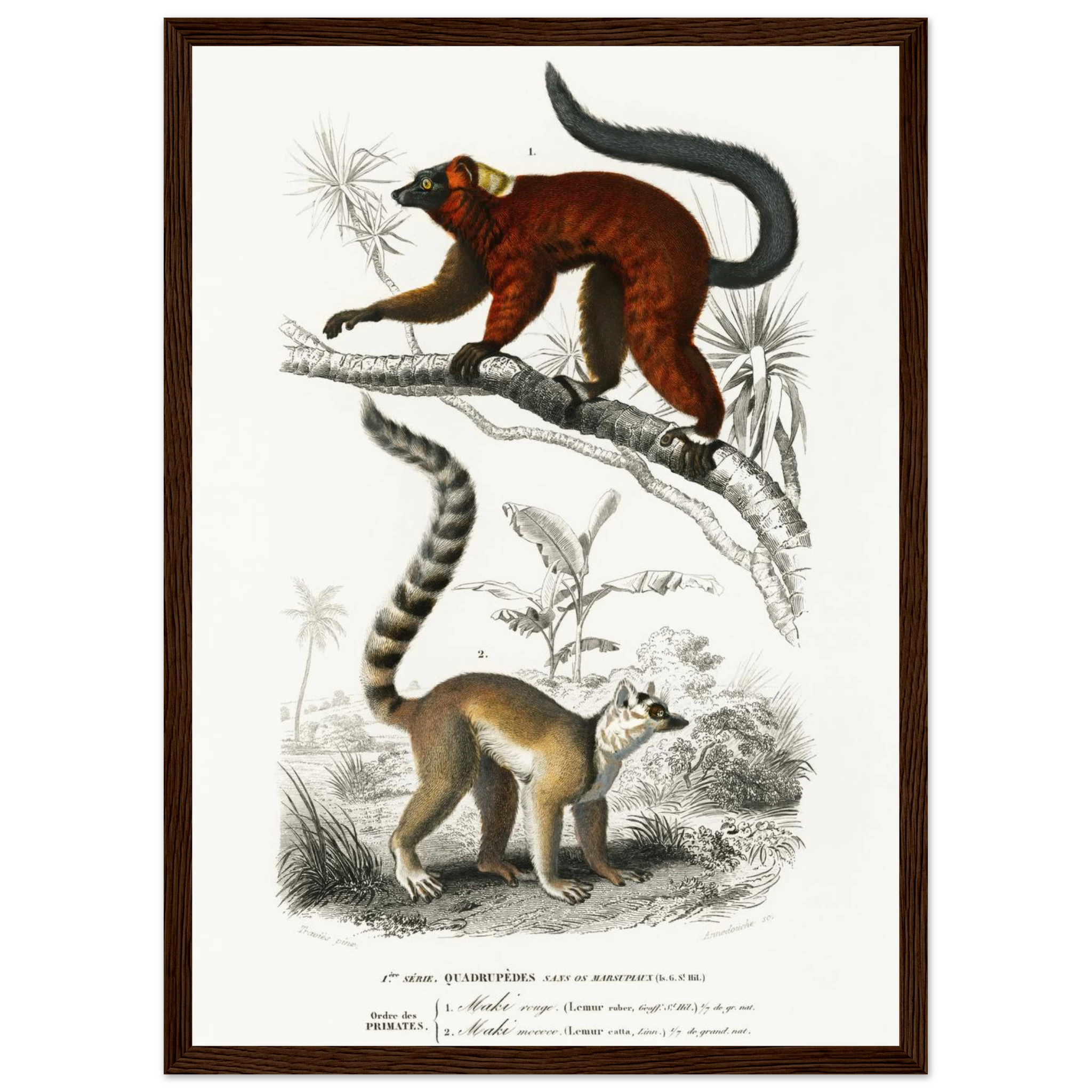 d2f80e34-d2ba-454e-8cbe-7bf92f471b2d