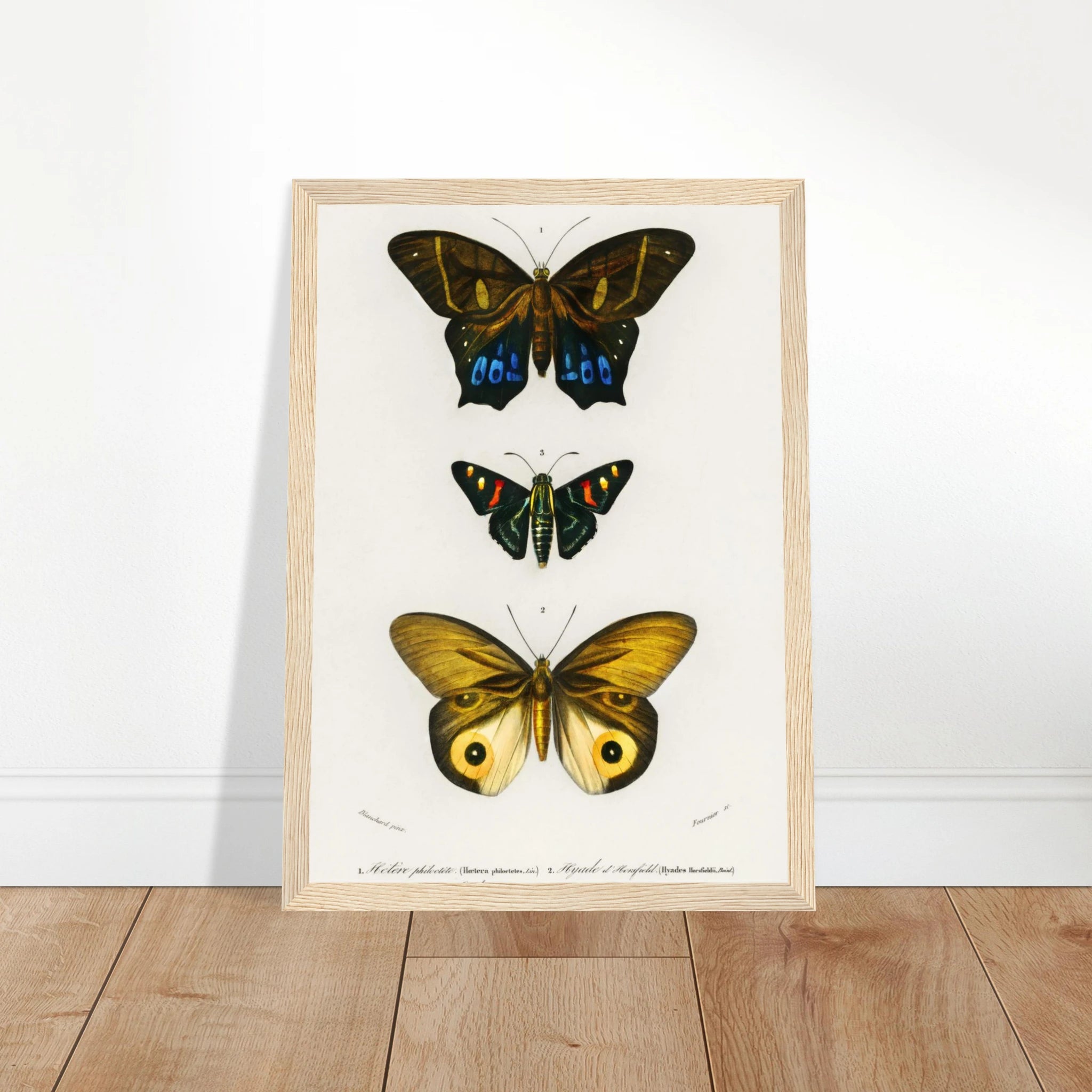 d32f6ea7-ea88-48d0-b42b-3fbd8787b5a0