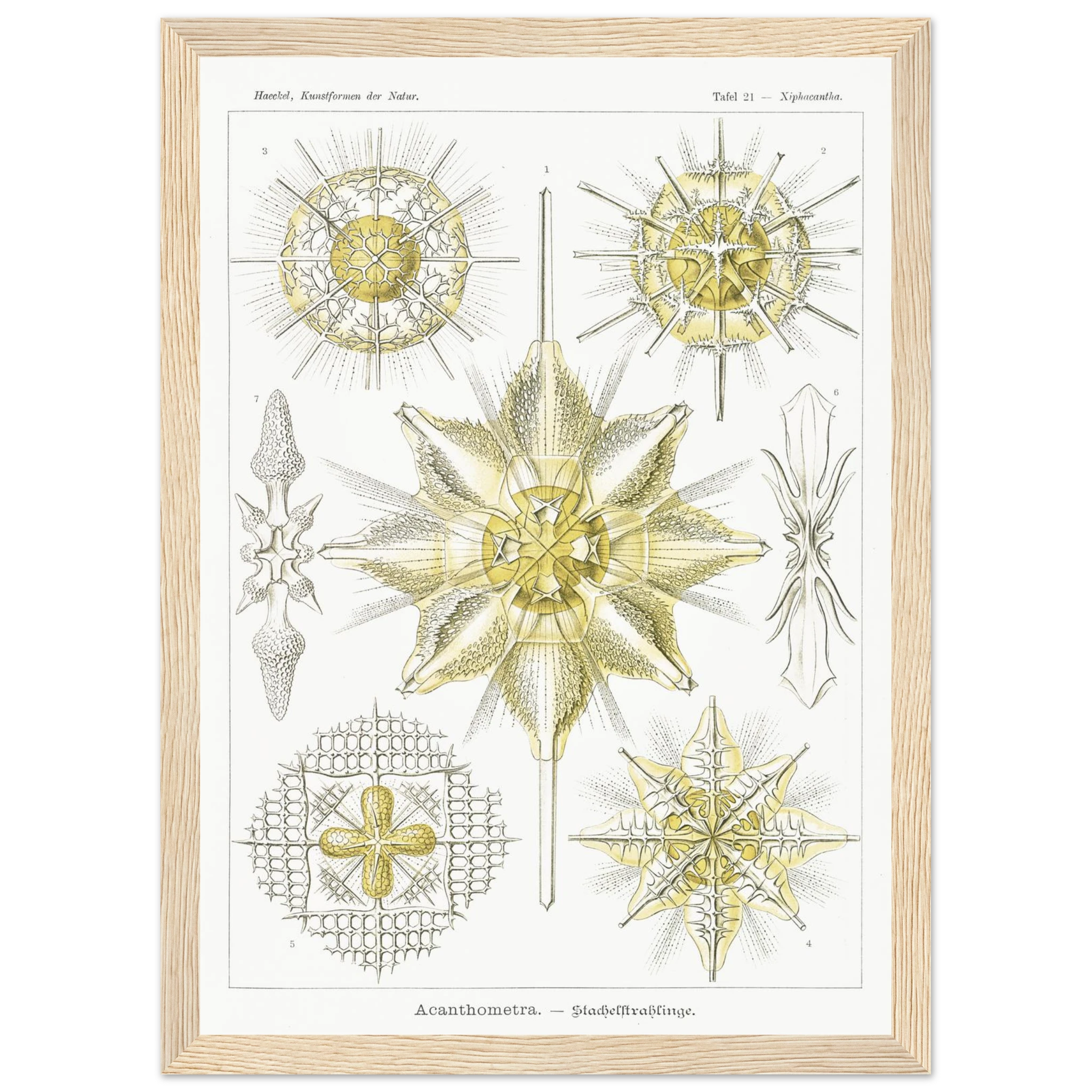 d3610457-9602-4ef5-a4ee-a69aea4a2697