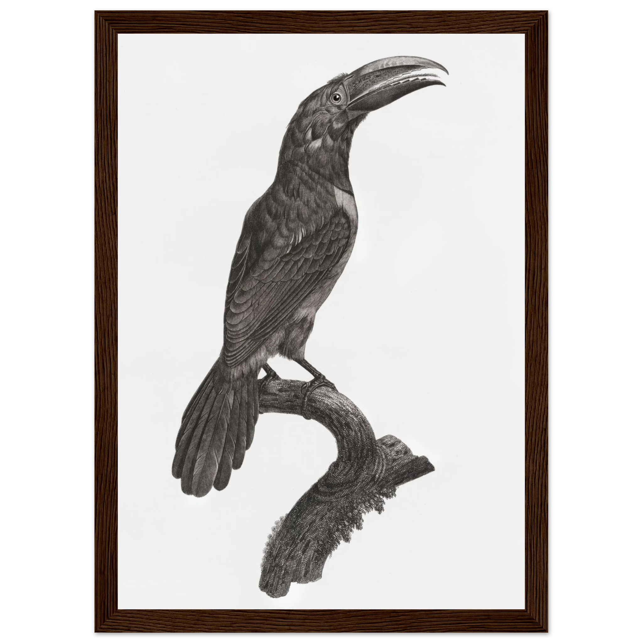 d36e0a89-1ba9-46ba-85c2-09a18fc72b1d