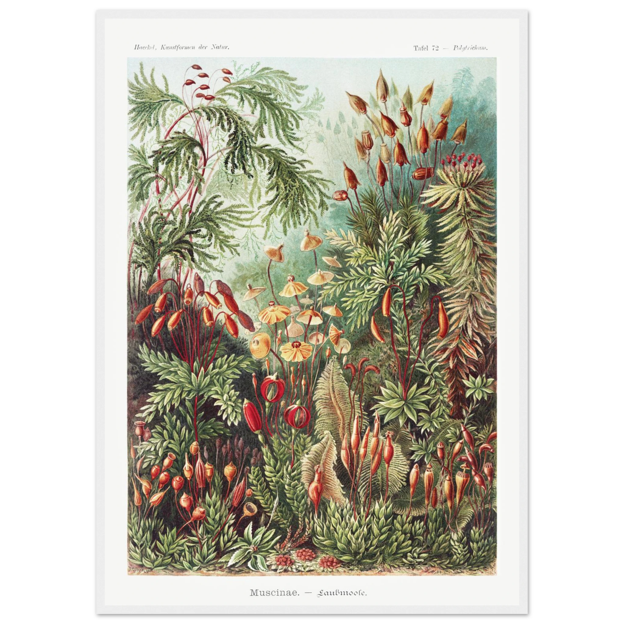 d38e5904-2a93-456c-a55b-ea5dbaa22c35