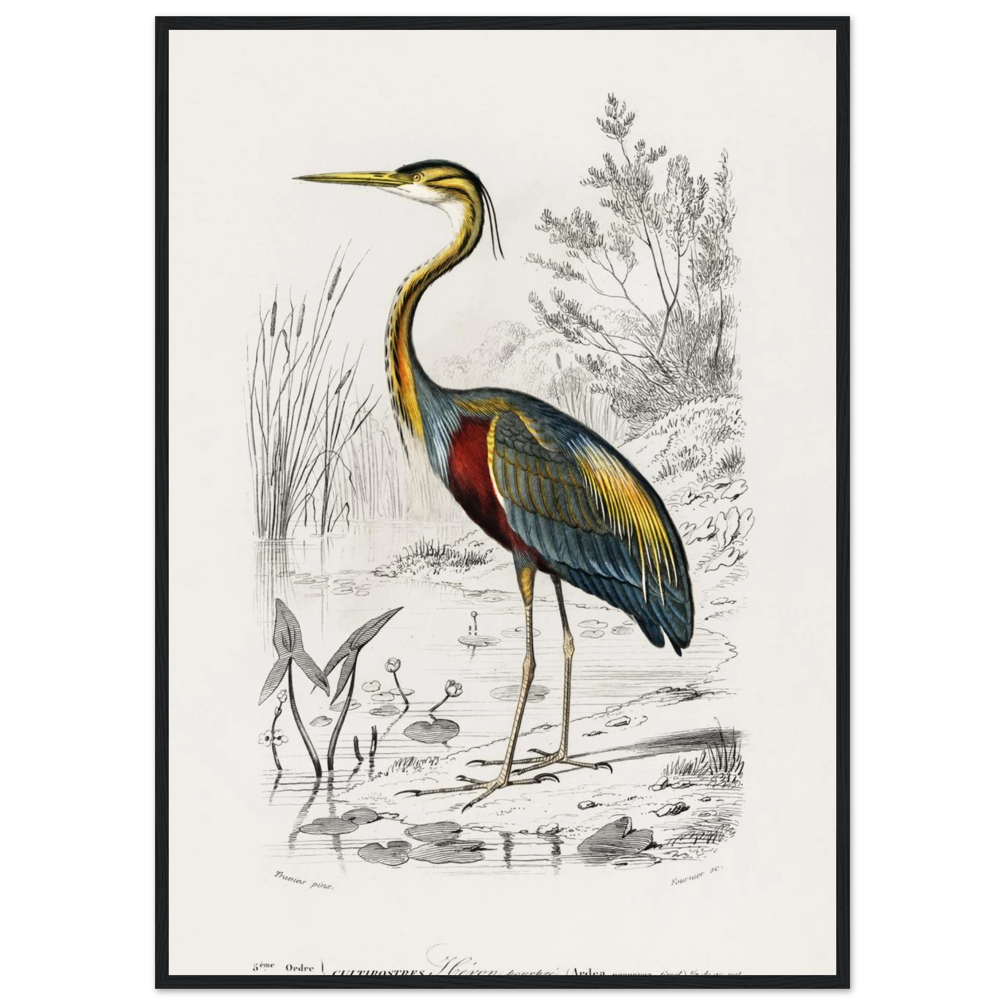 d3a42c73-7531-45f2-b8a0-653a448e1f4a