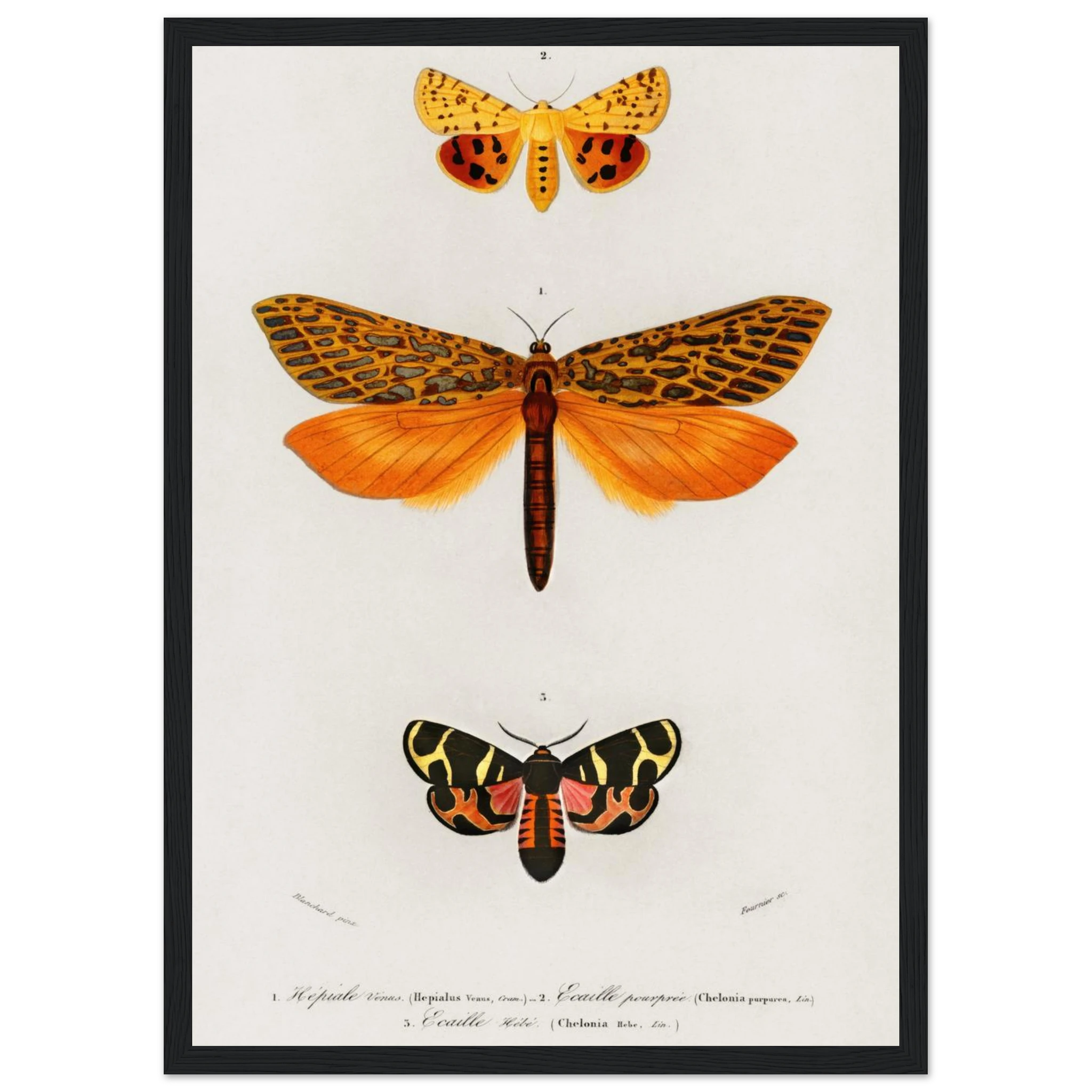 d3b515d7-1866-4e5a-8da9-520d2ee93b59