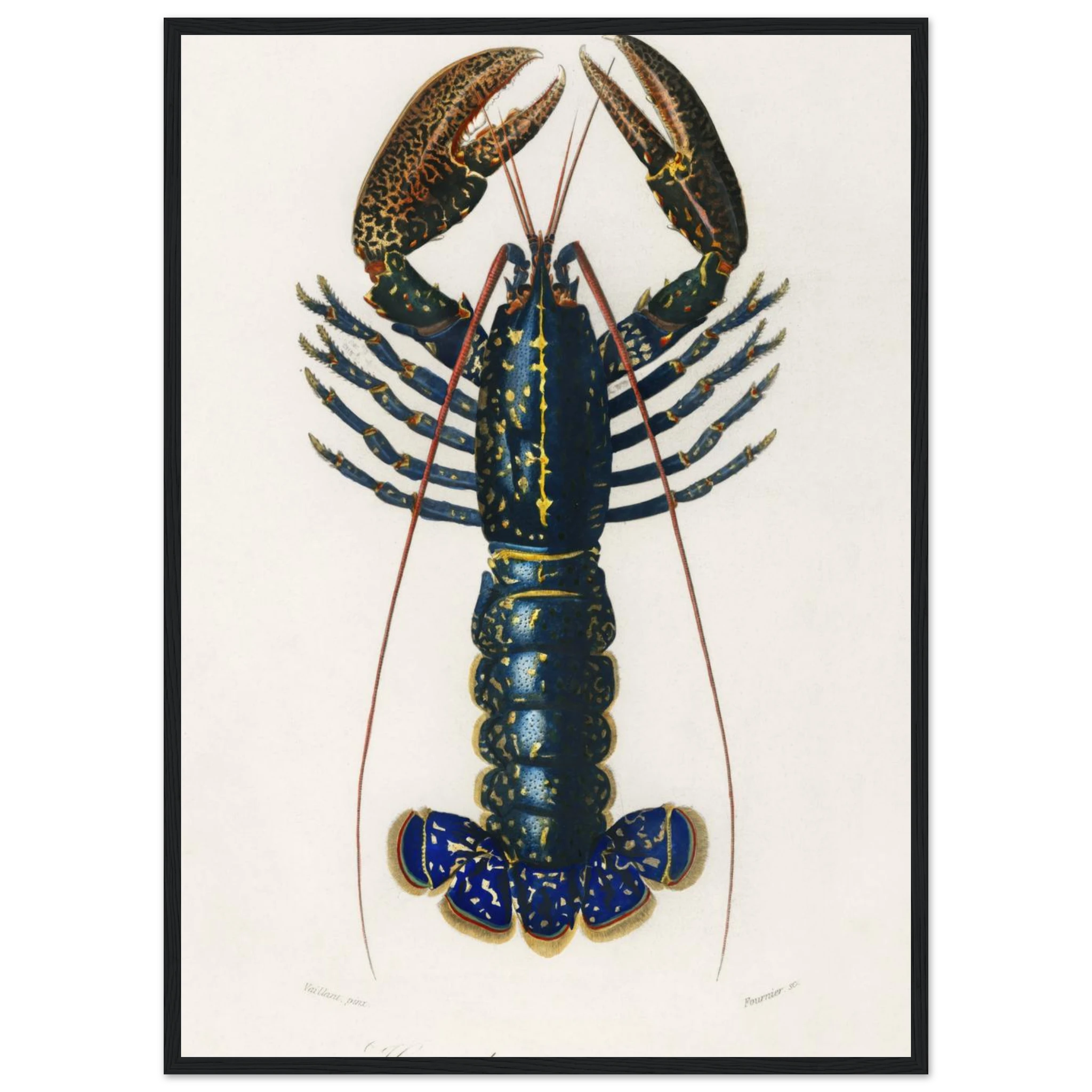 d3c22f64-a65a-4b1f-b1ac-e34363009481