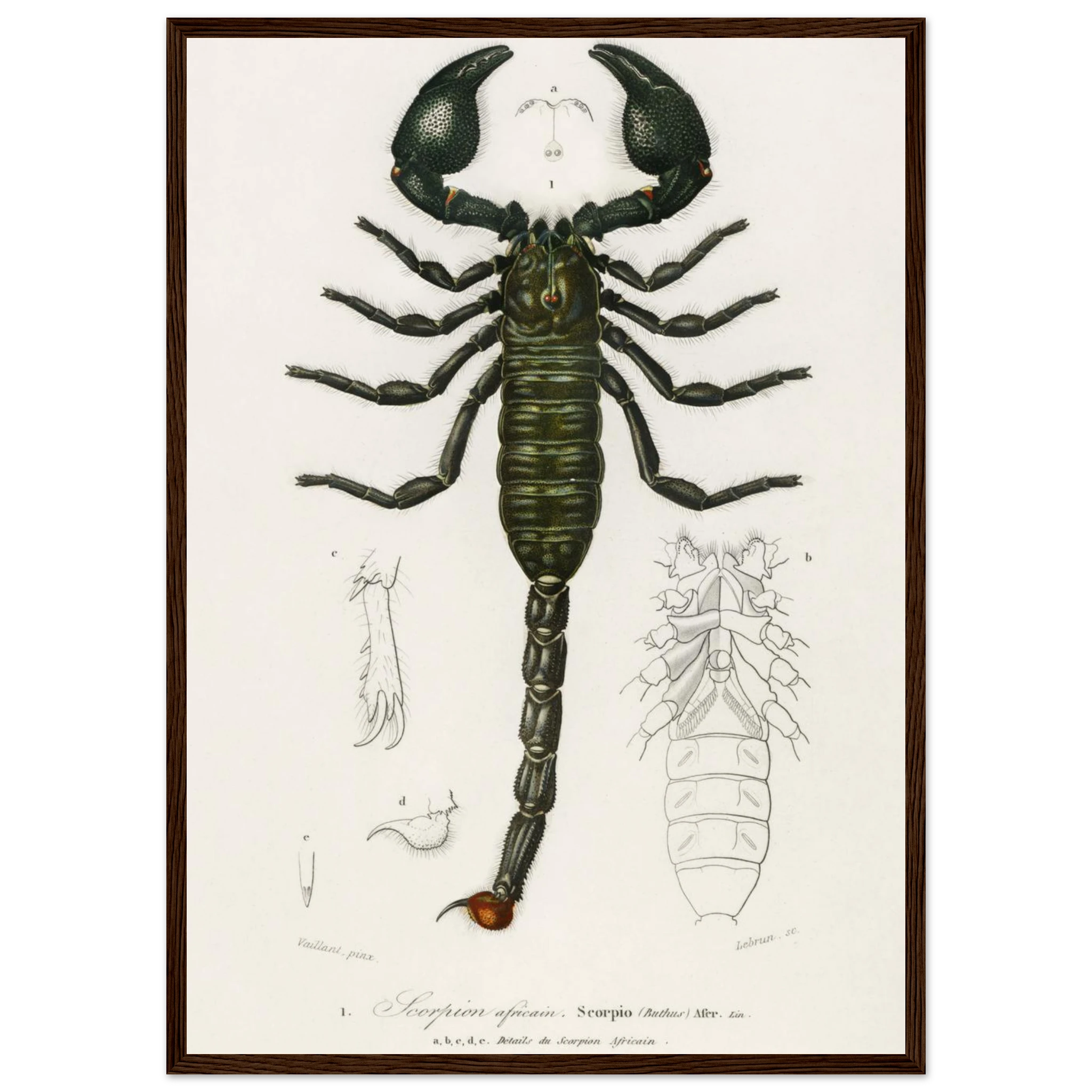 d3c5d118-c3cf-4a80-92bf-d035fccefa34