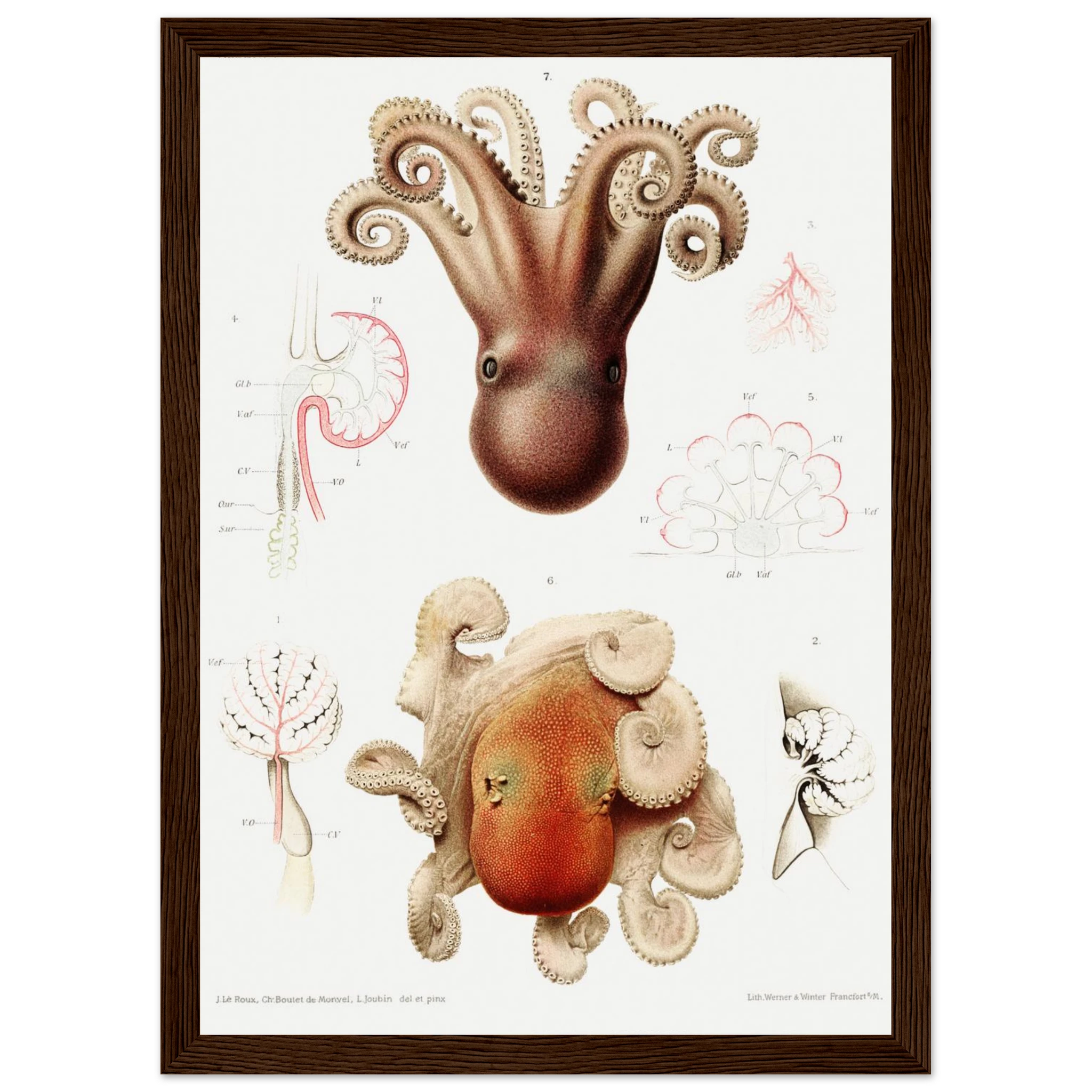 d3f83c4b-b231-41fe-9215-1b649aec06a8