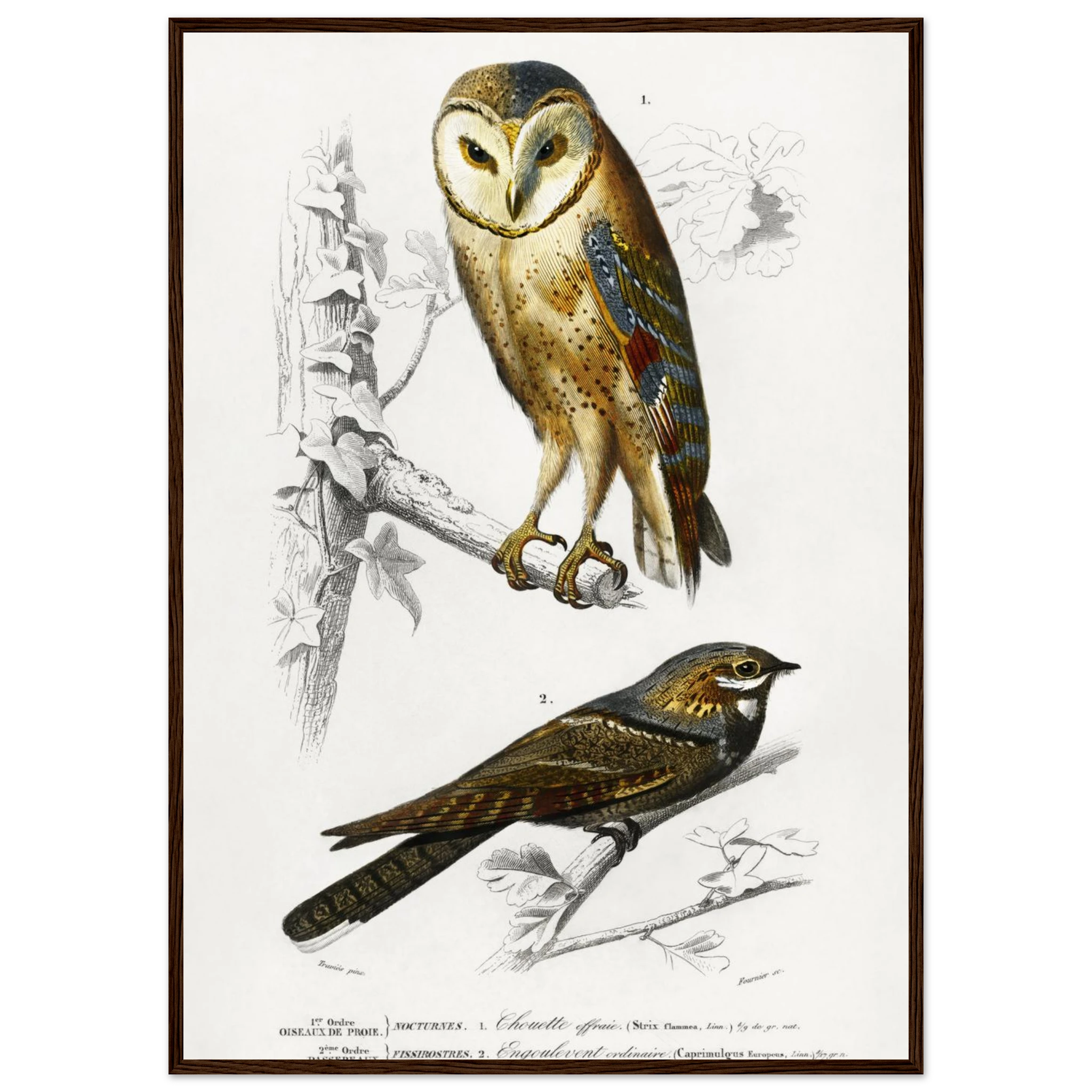 d439ca69-c4d0-4f50-b661-bd79189fc668