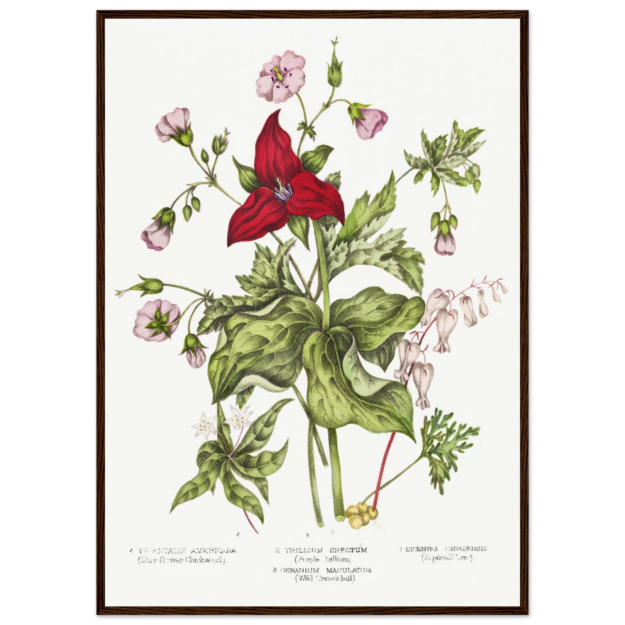 d5097d40-1fd2-480a-b40c-597559d424a4