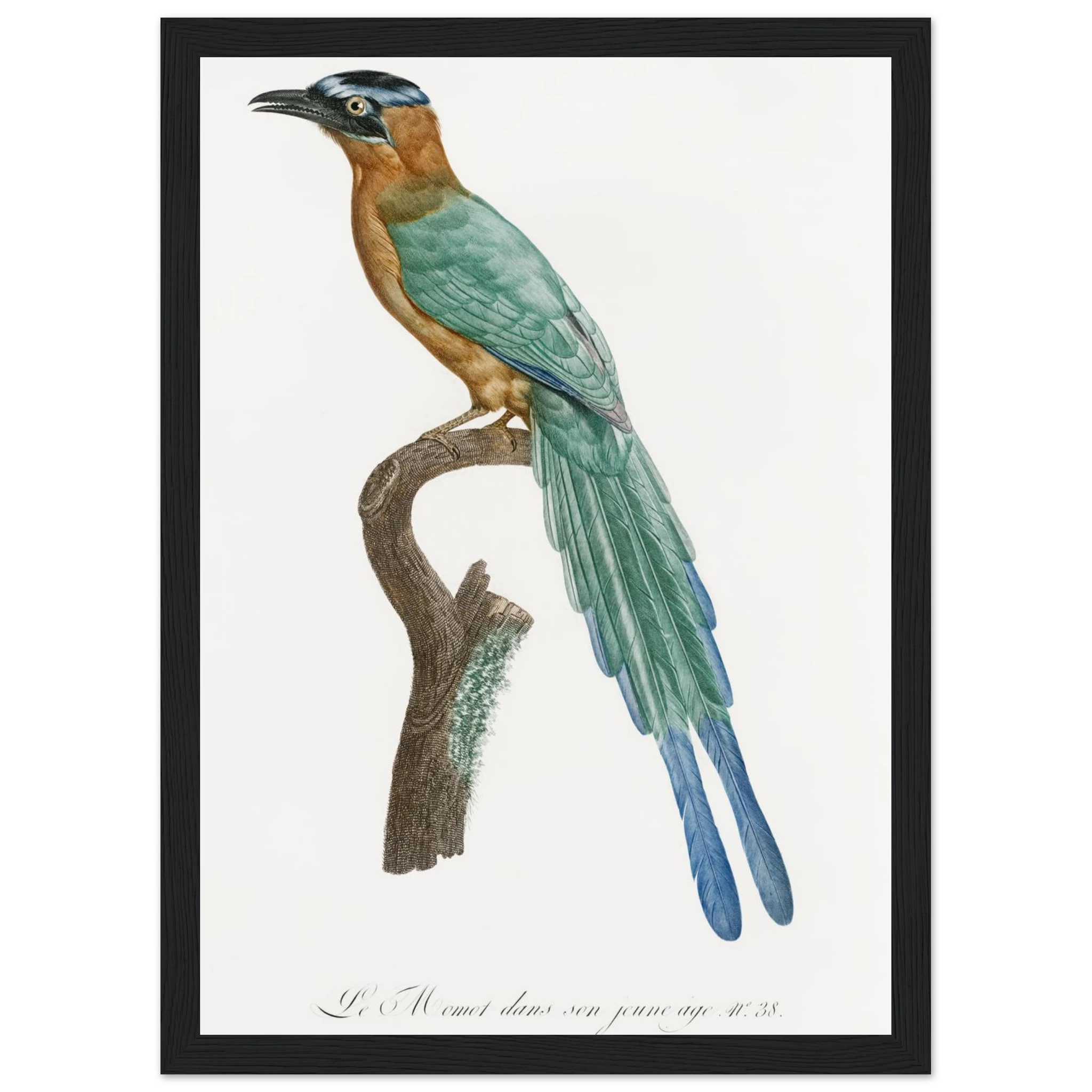 d53df6e4-72a4-4b1a-8188-b8e2275b2af1