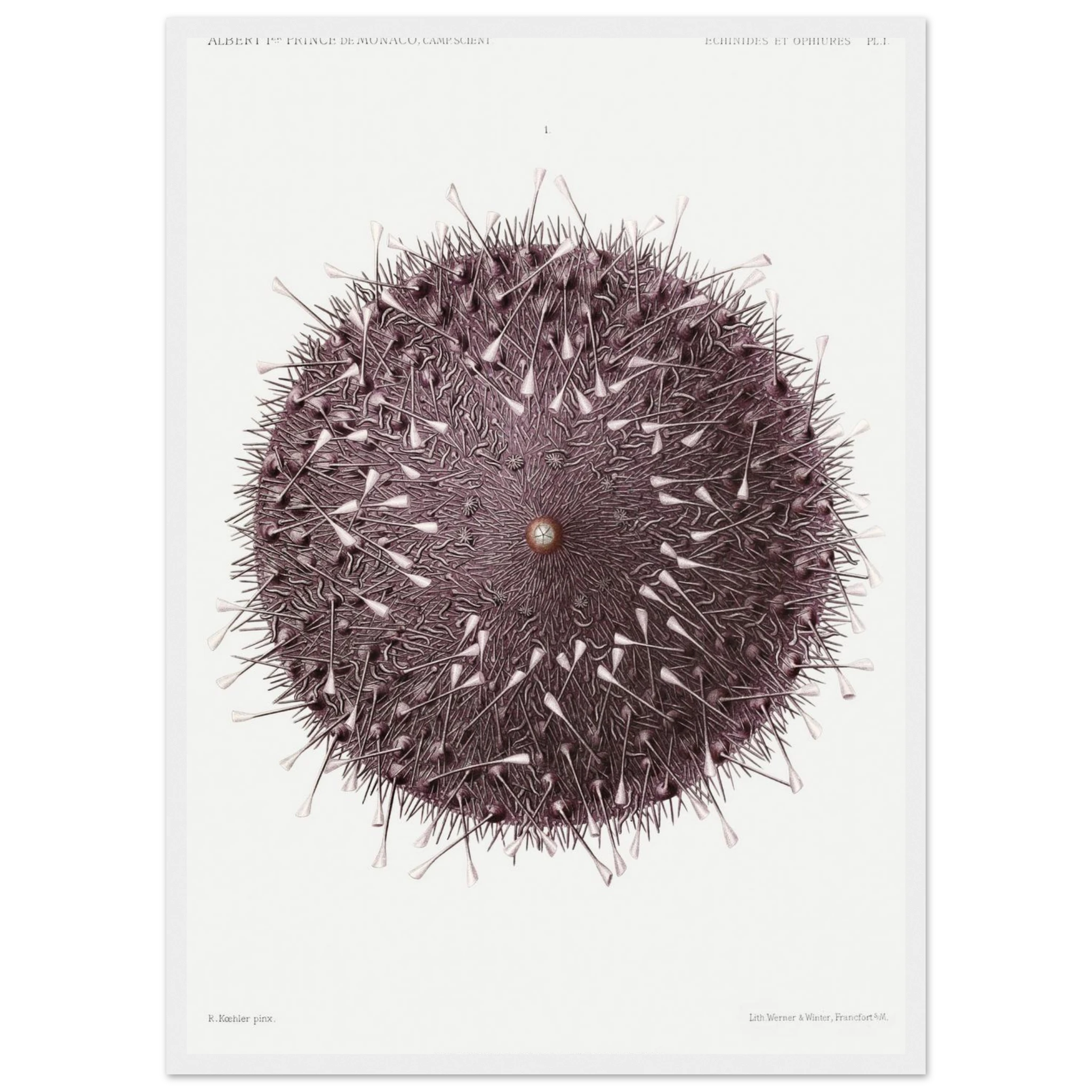 d556da9c-5660-49fd-a93e-3f3a6f2d4ac6