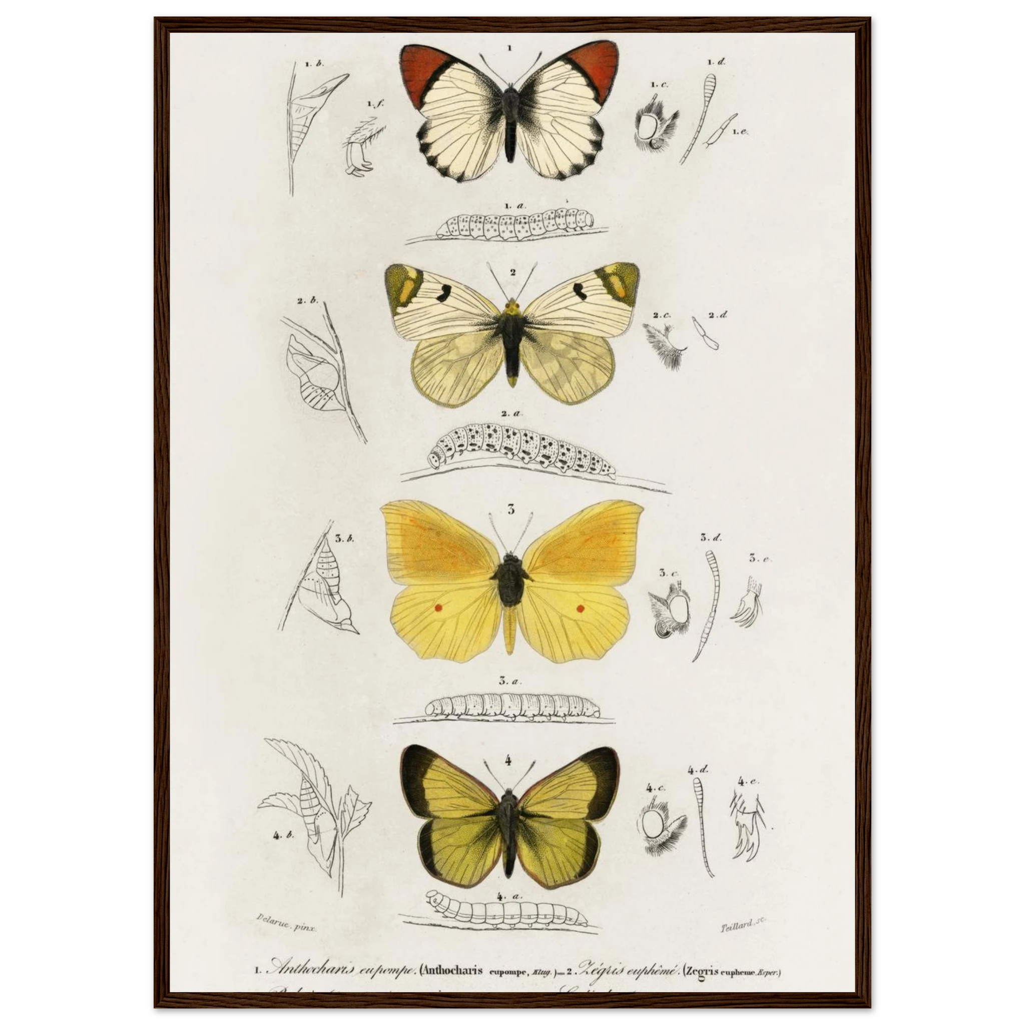 d56b6ab3-bb47-45a6-84a2-9ad7b7bb61f3