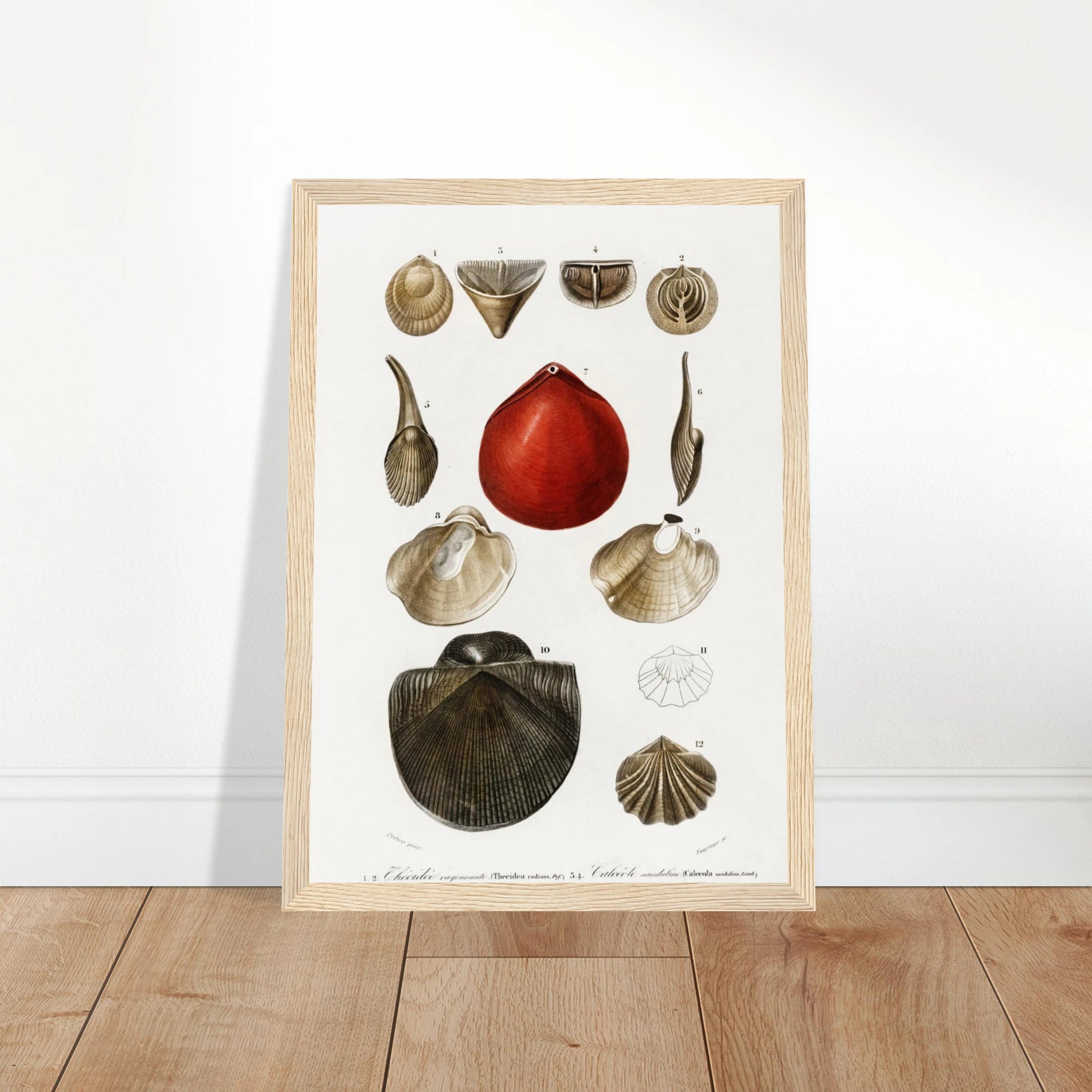 d57c1021-13e1-48b1-81c1-021f5d4c0591