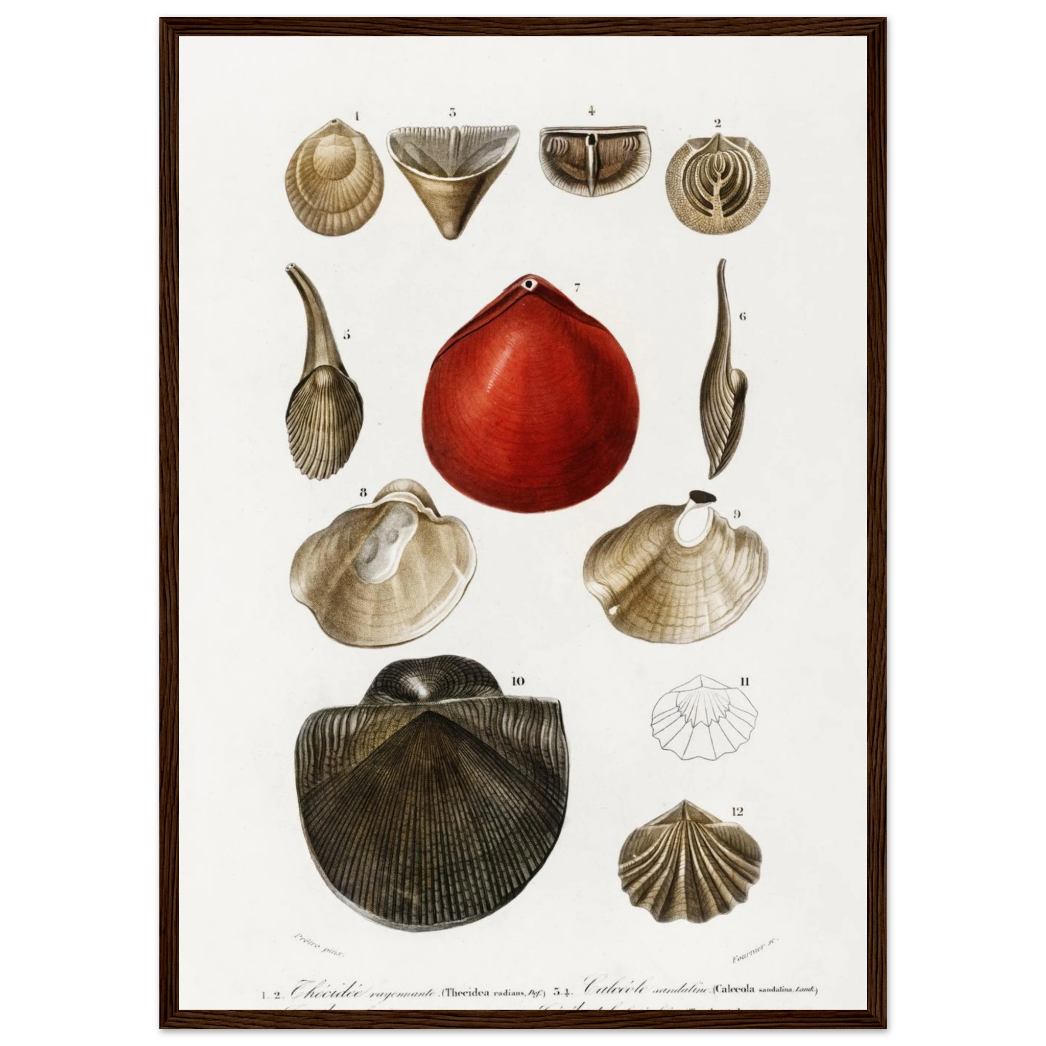 d58ecb13-2da5-491a-8dd7-fc3375a60035