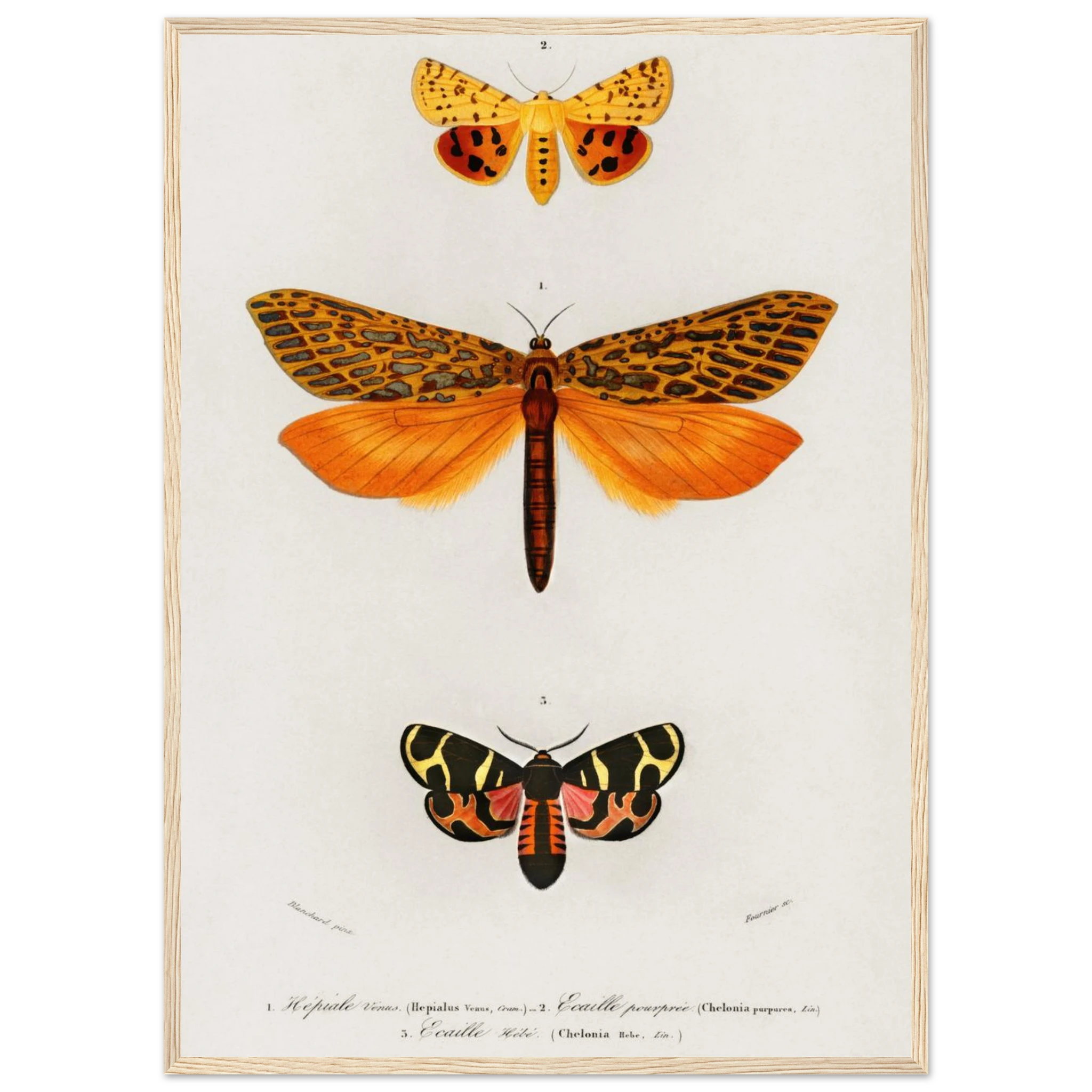 d5915af1-688d-4a5c-8af8-a849d24f5c52