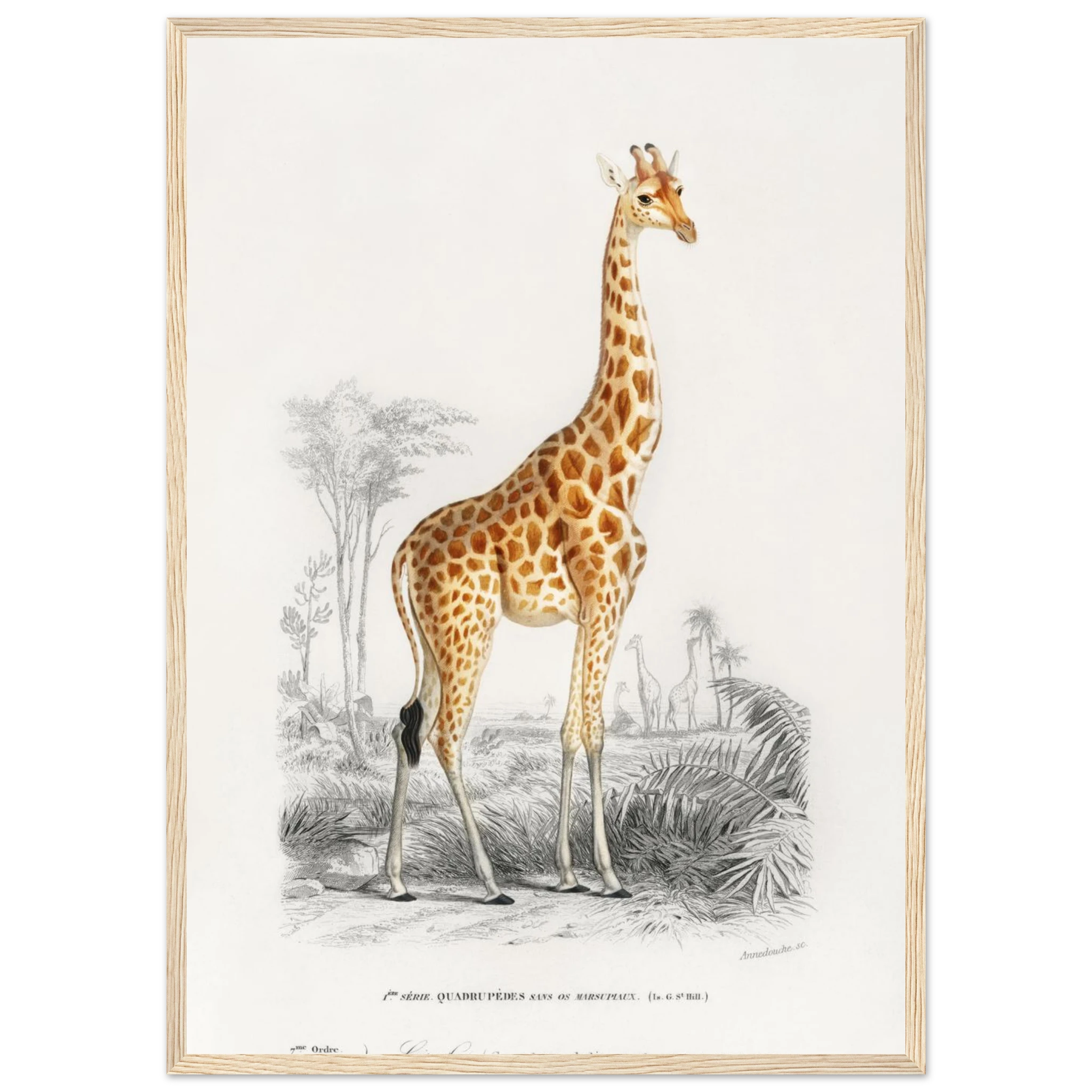 d5928034-5f99-48a6-aebe-327e9818cb66