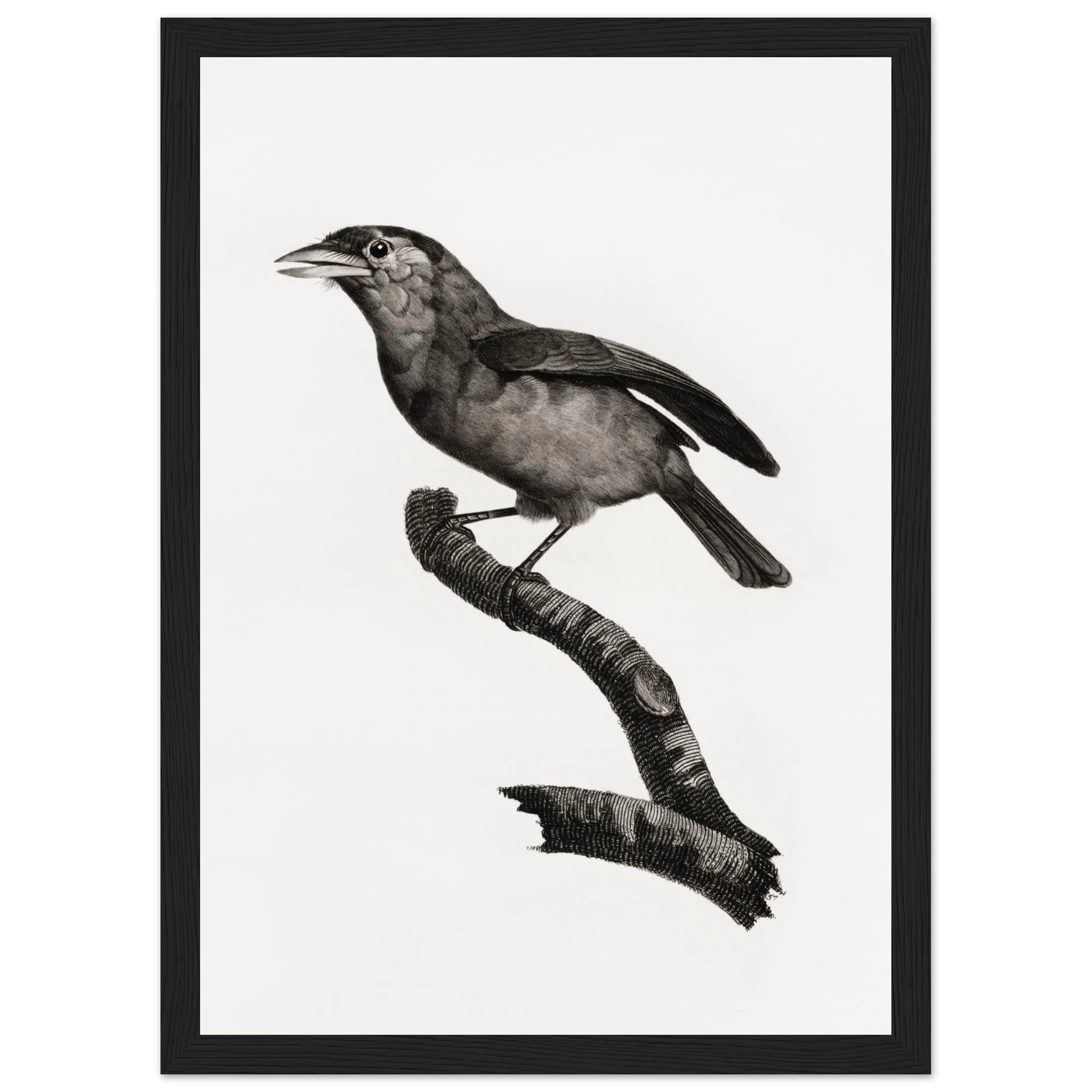 d5b268f7-d23d-4221-b130-a2fe88fcf750