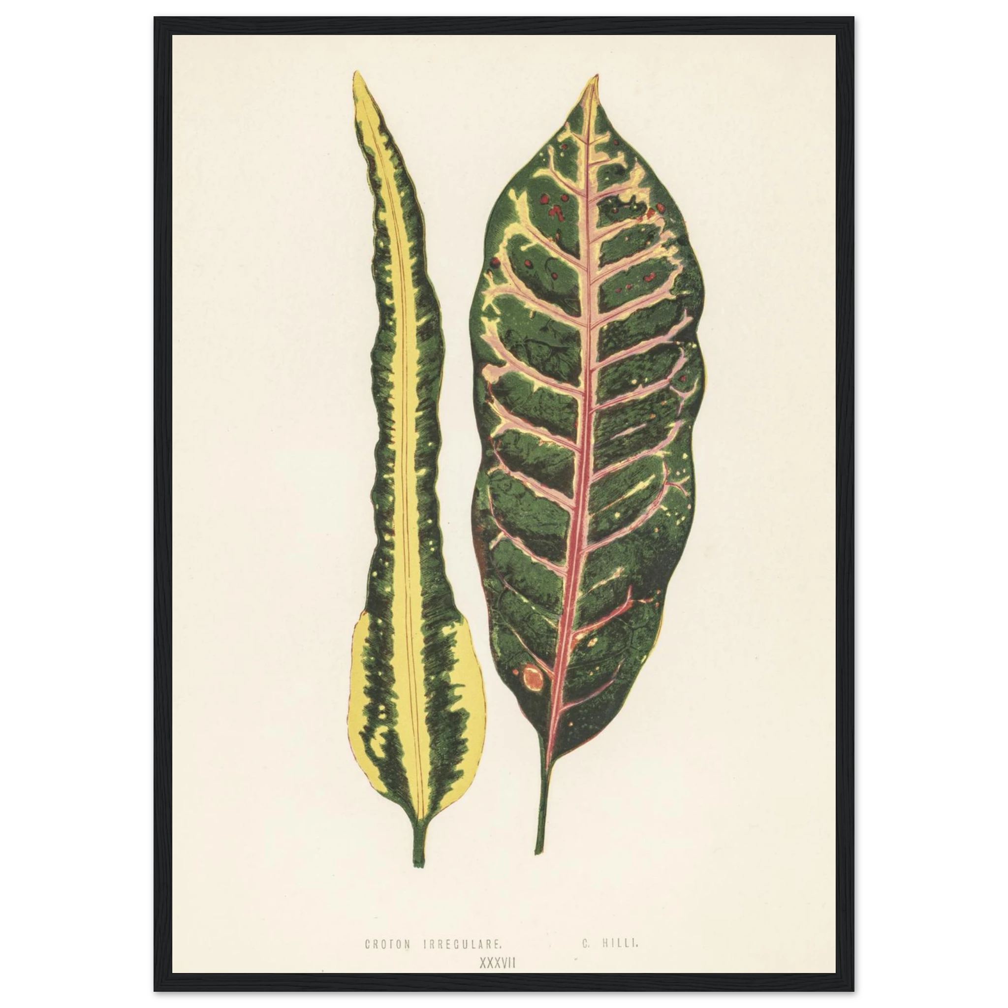 d5e1baa4-ef91-423f-a9cd-c3c7b1a6457b