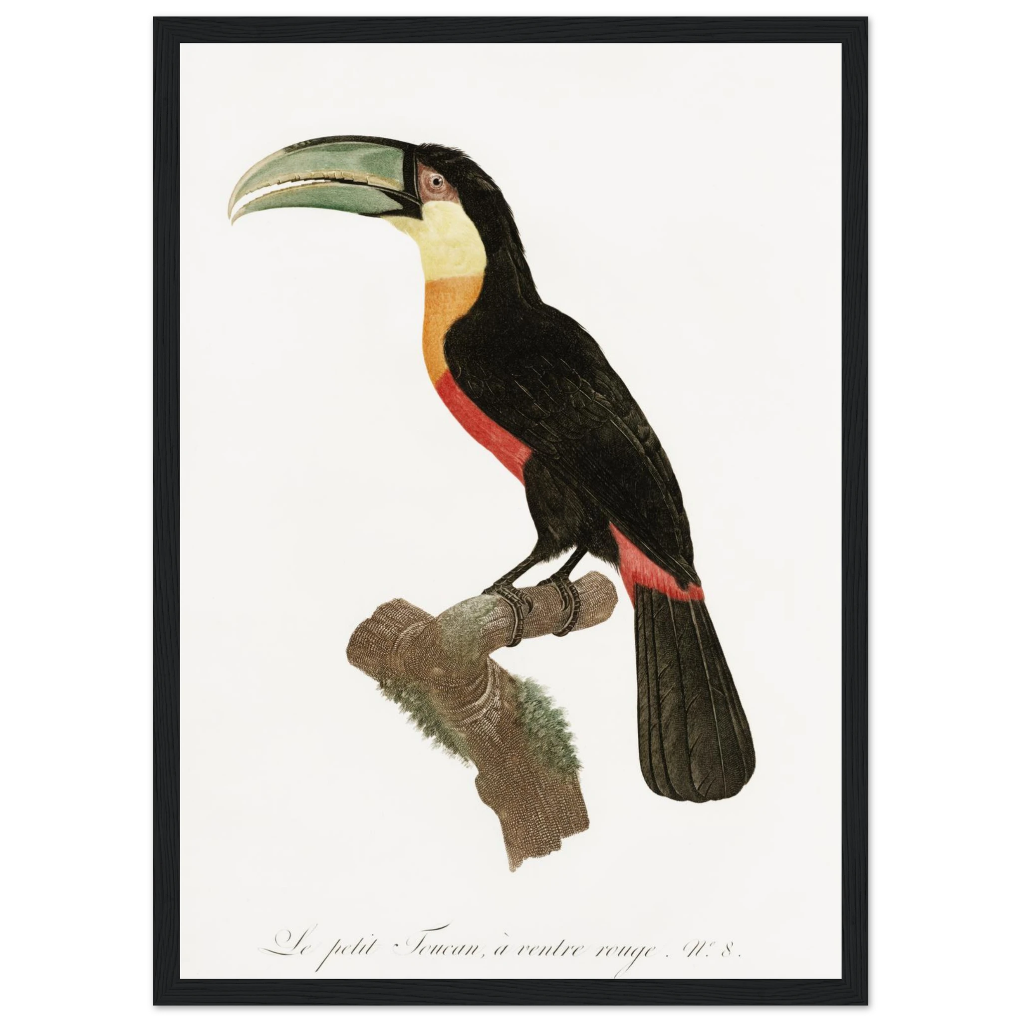 d6bc052f-0146-481b-80f6-702edb0c14a0