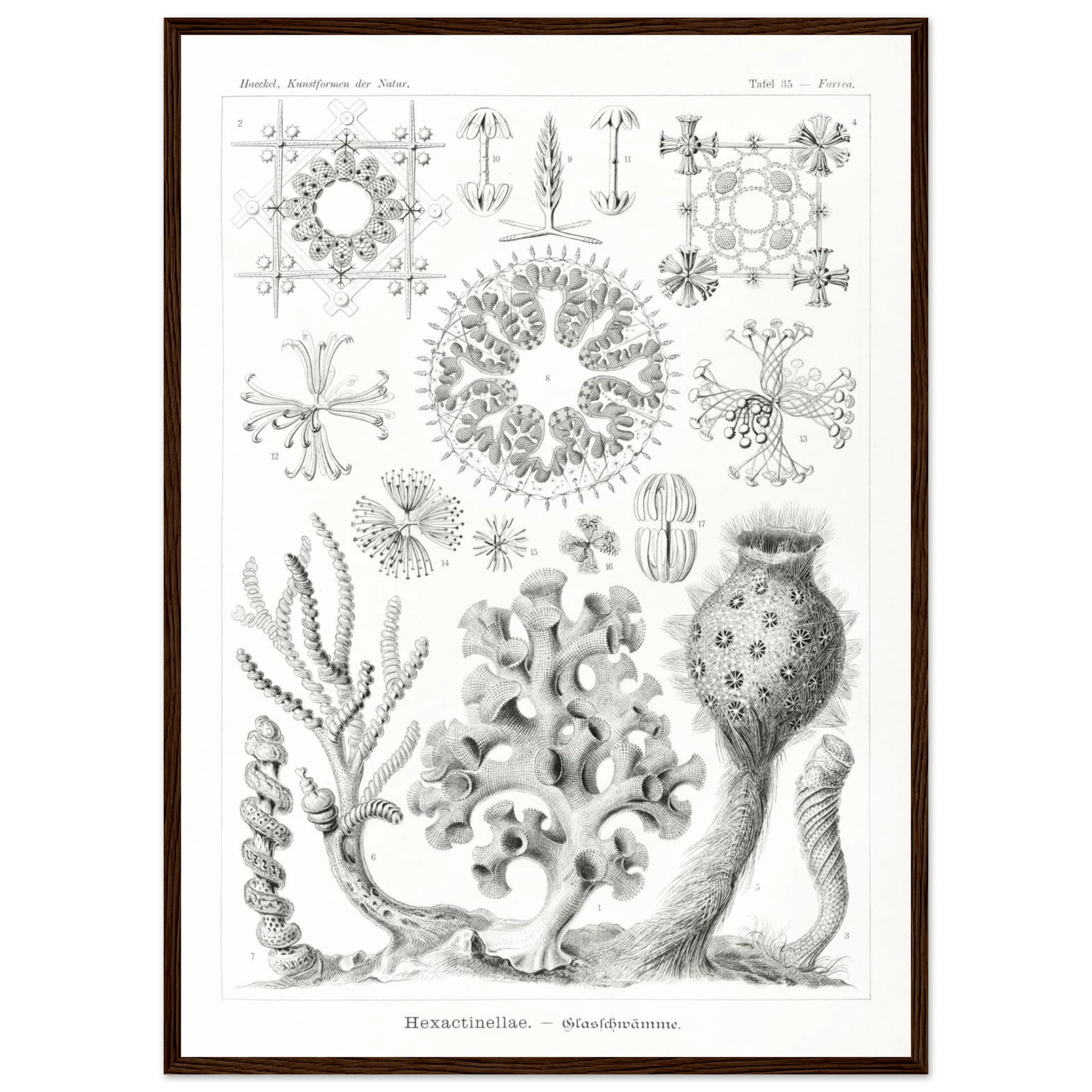 d6de4081-2873-4645-a9ad-b409fd9861c3