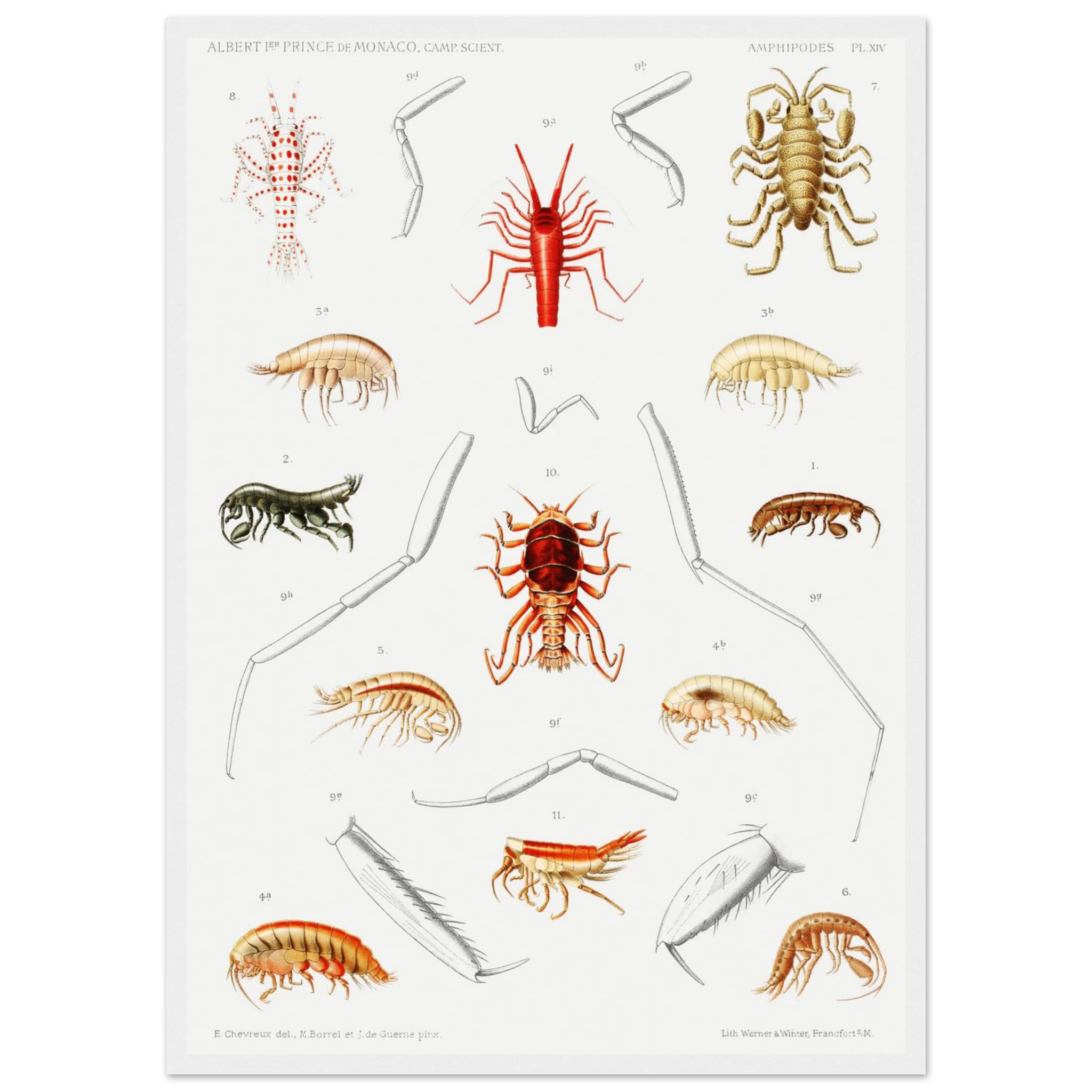 d6e03361-164c-4646-9402-e2c7dbe3f108