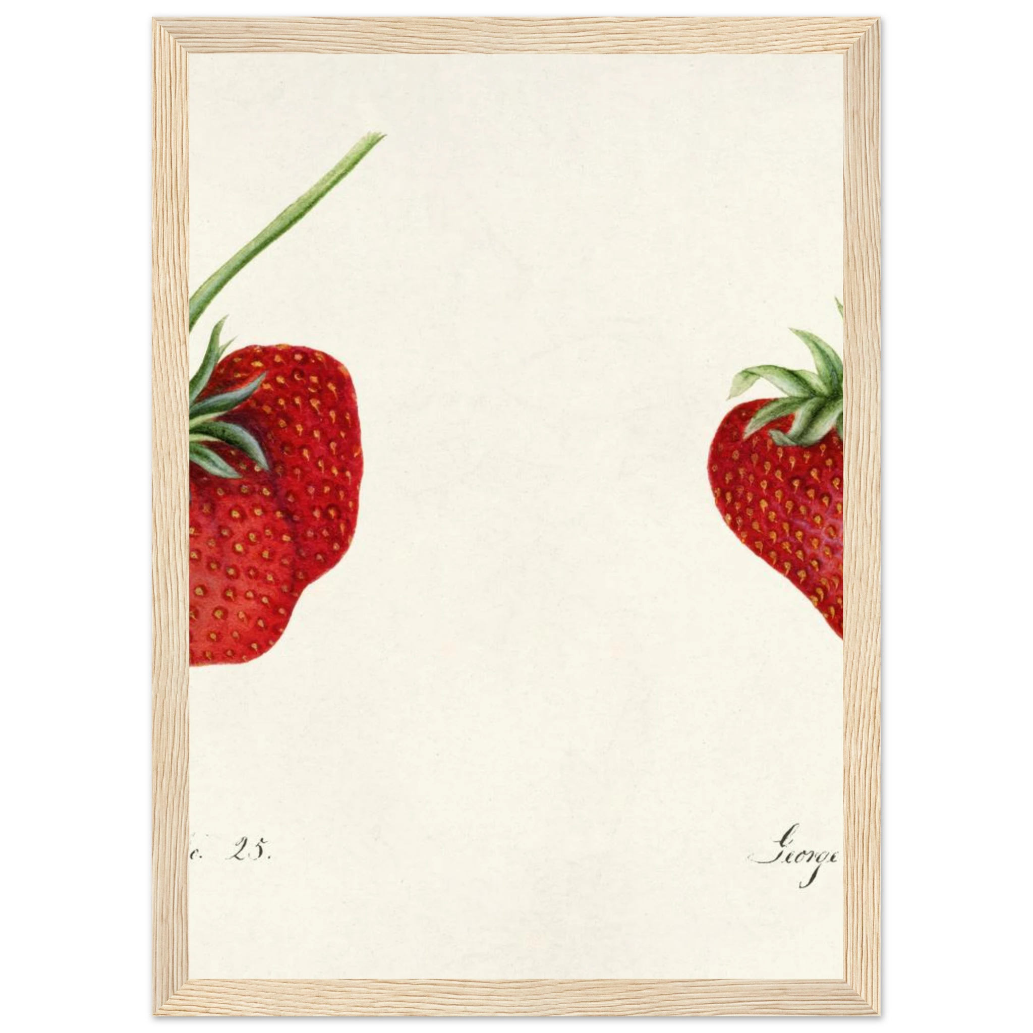 d71ae513-8262-4979-8b35-90f75b591145