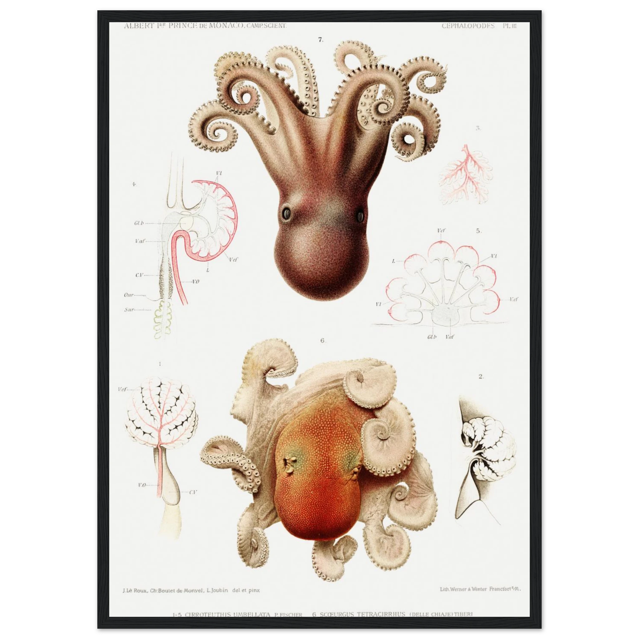 d7559bce-ba7b-4767-95e9-05e76e3bd31a