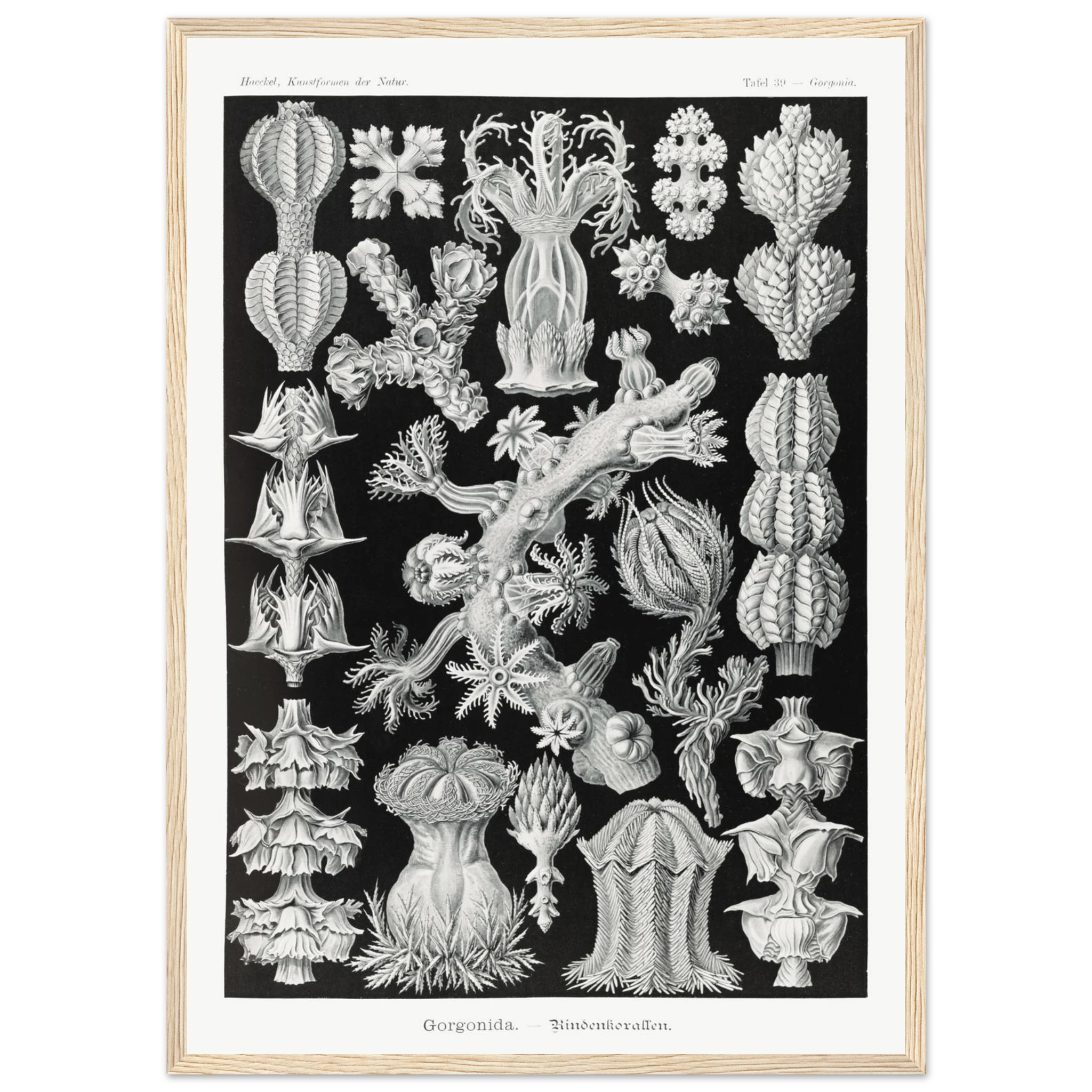 d766640a-f3a1-446a-99f1-0dbb65f2d875