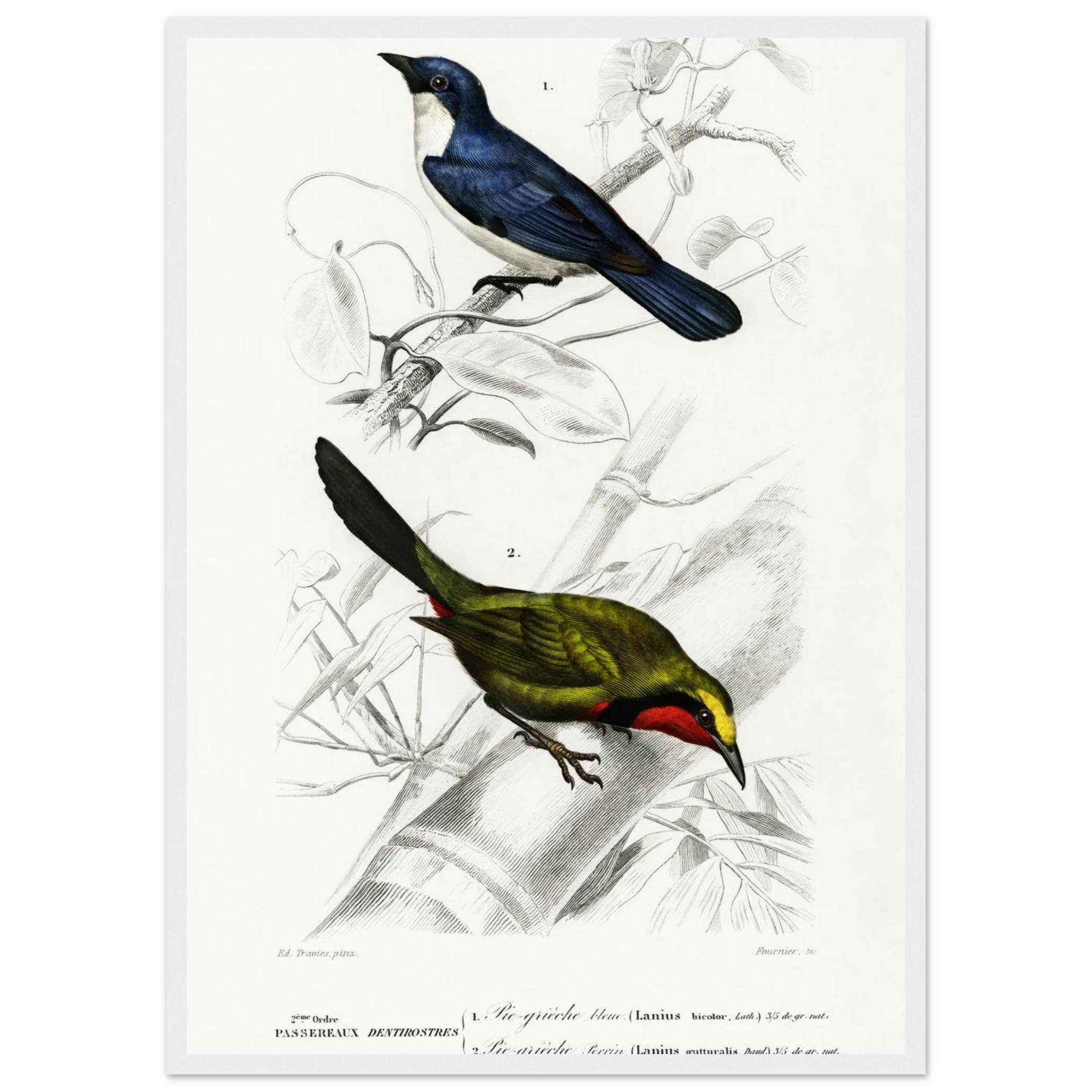 d792dce3-9aec-486d-8061-b98b50ef9ee0