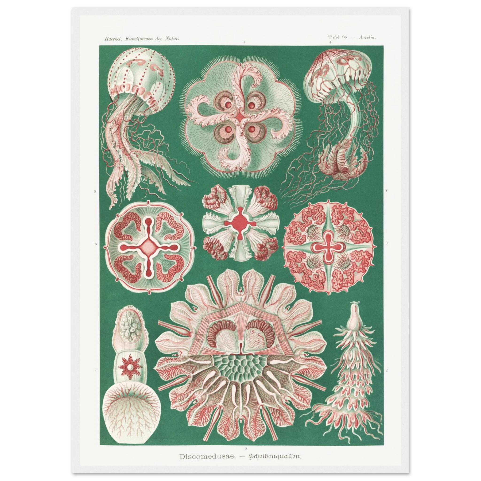 d7bcc849-e2a0-4d10-bbc8-67591dca370a