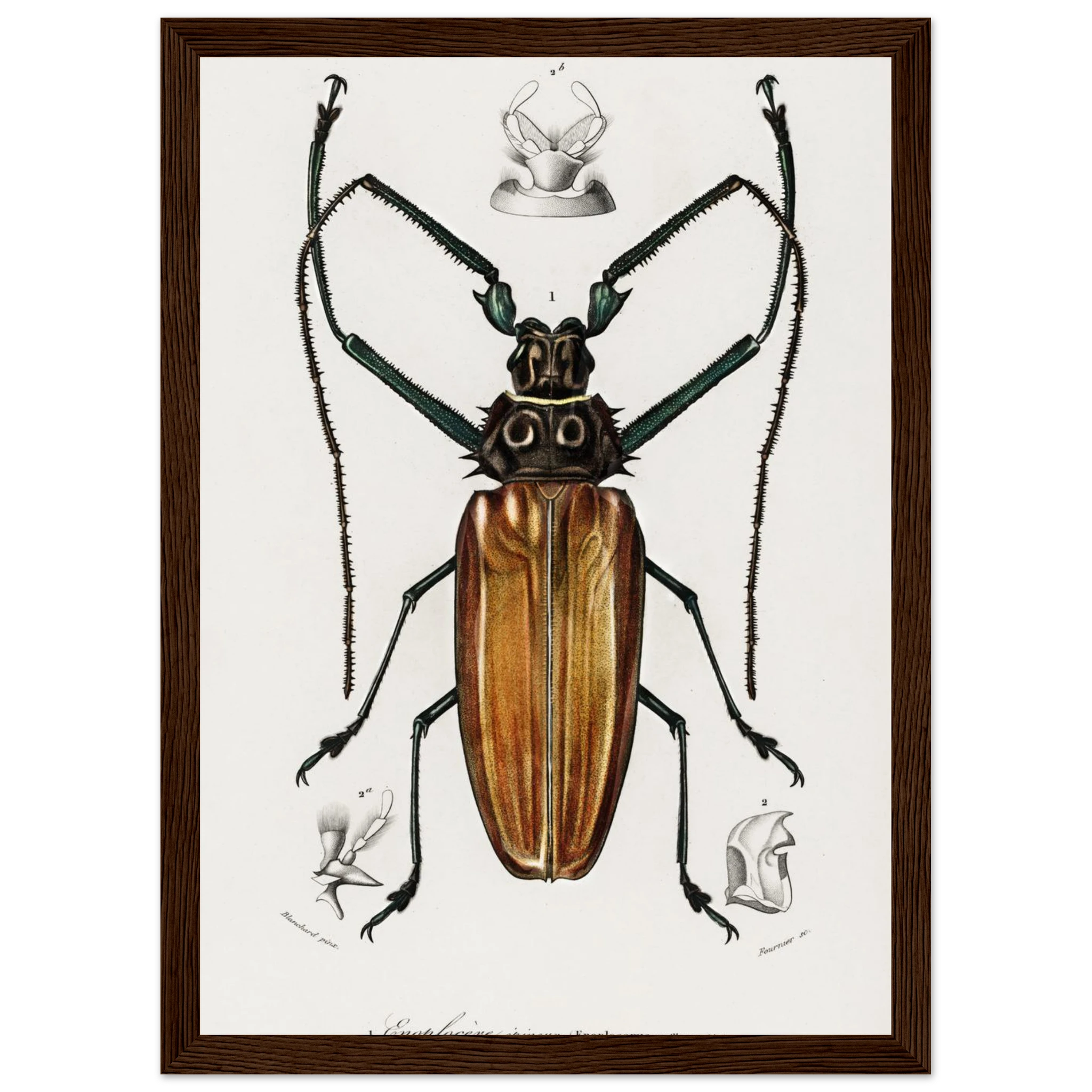 d7d17eb9-5433-46f6-a91f-adc70a9a3485