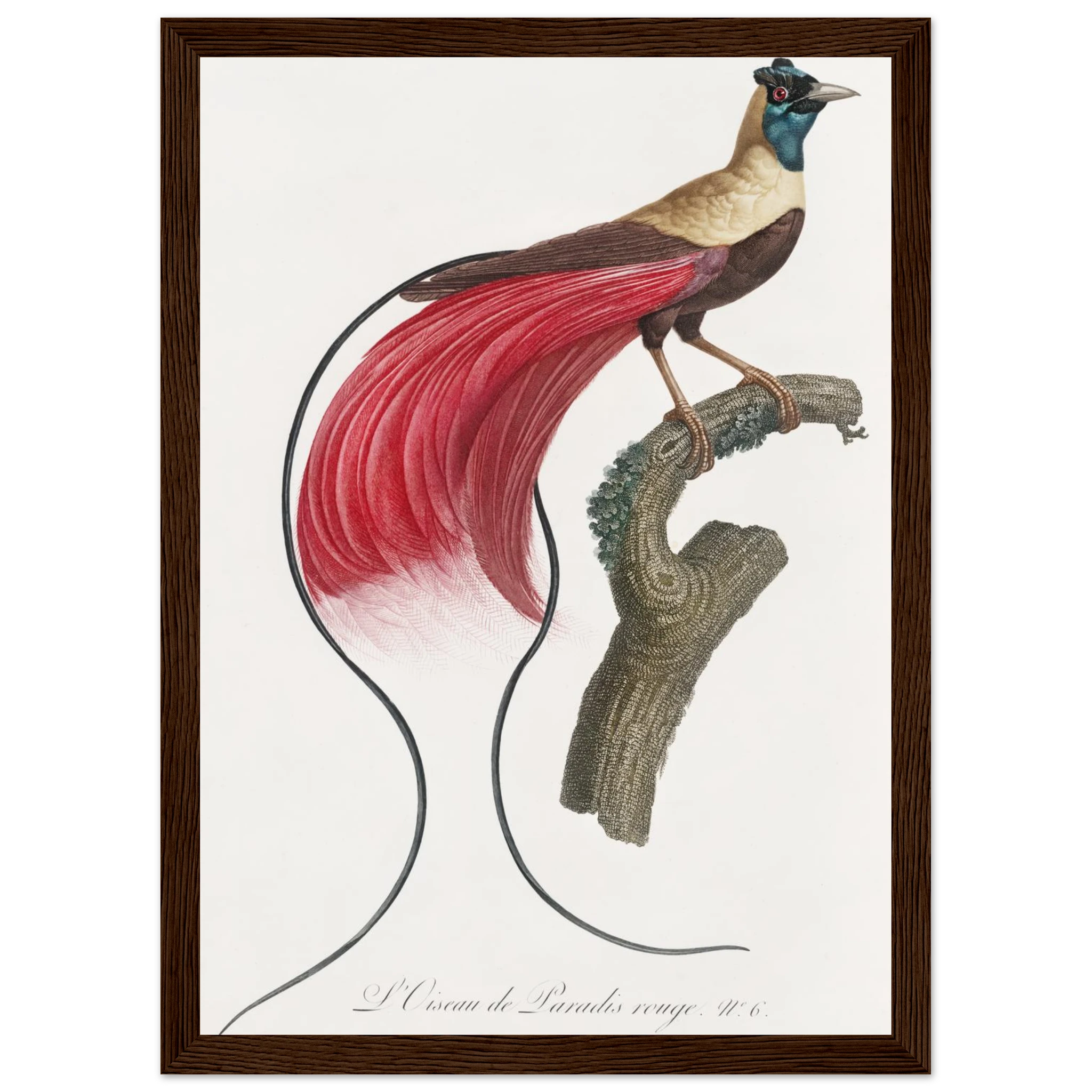 d85b4502-a925-44d1-aadd-e5a1330fb30d