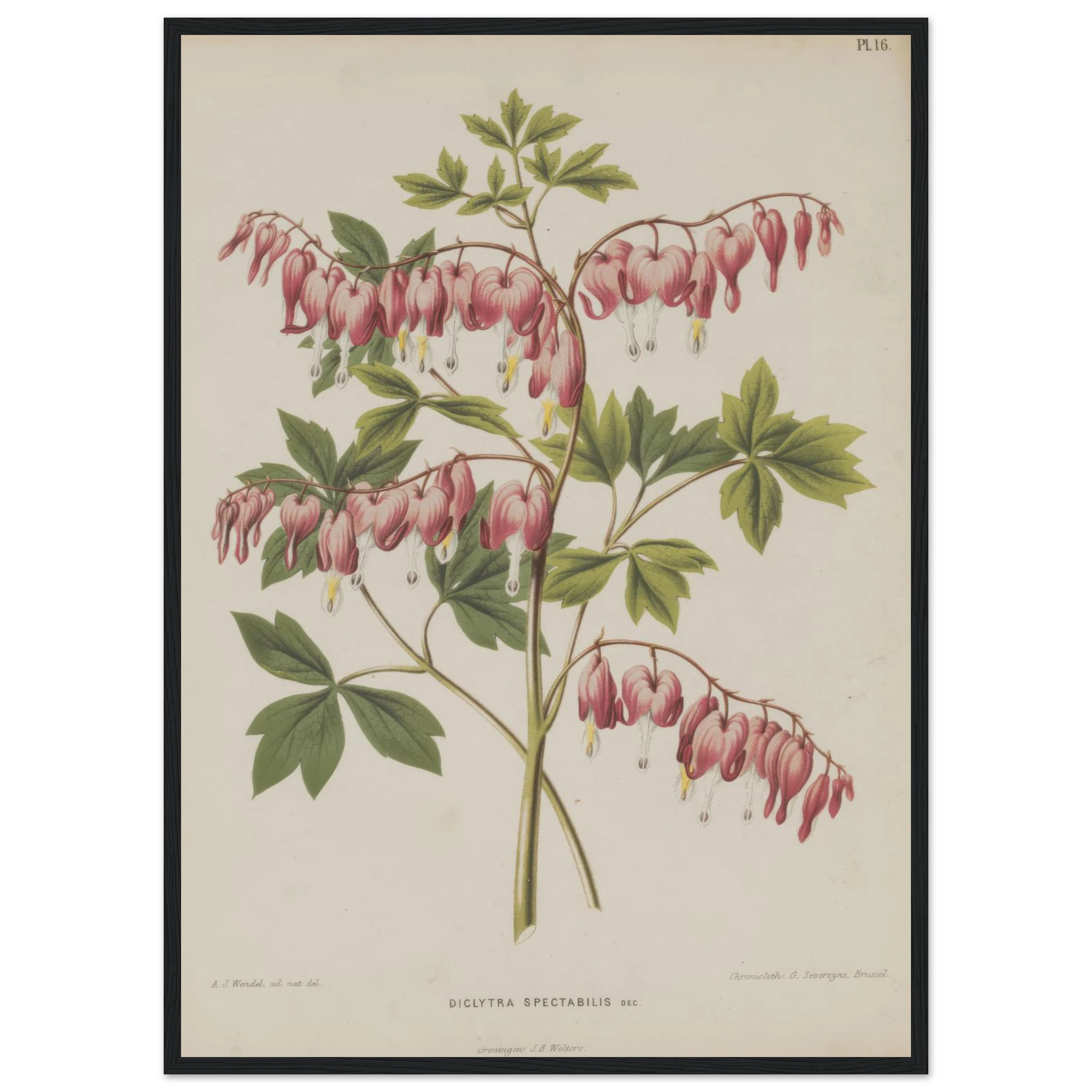 d860ddbf-3767-4dcc-9f11-40a4de731163