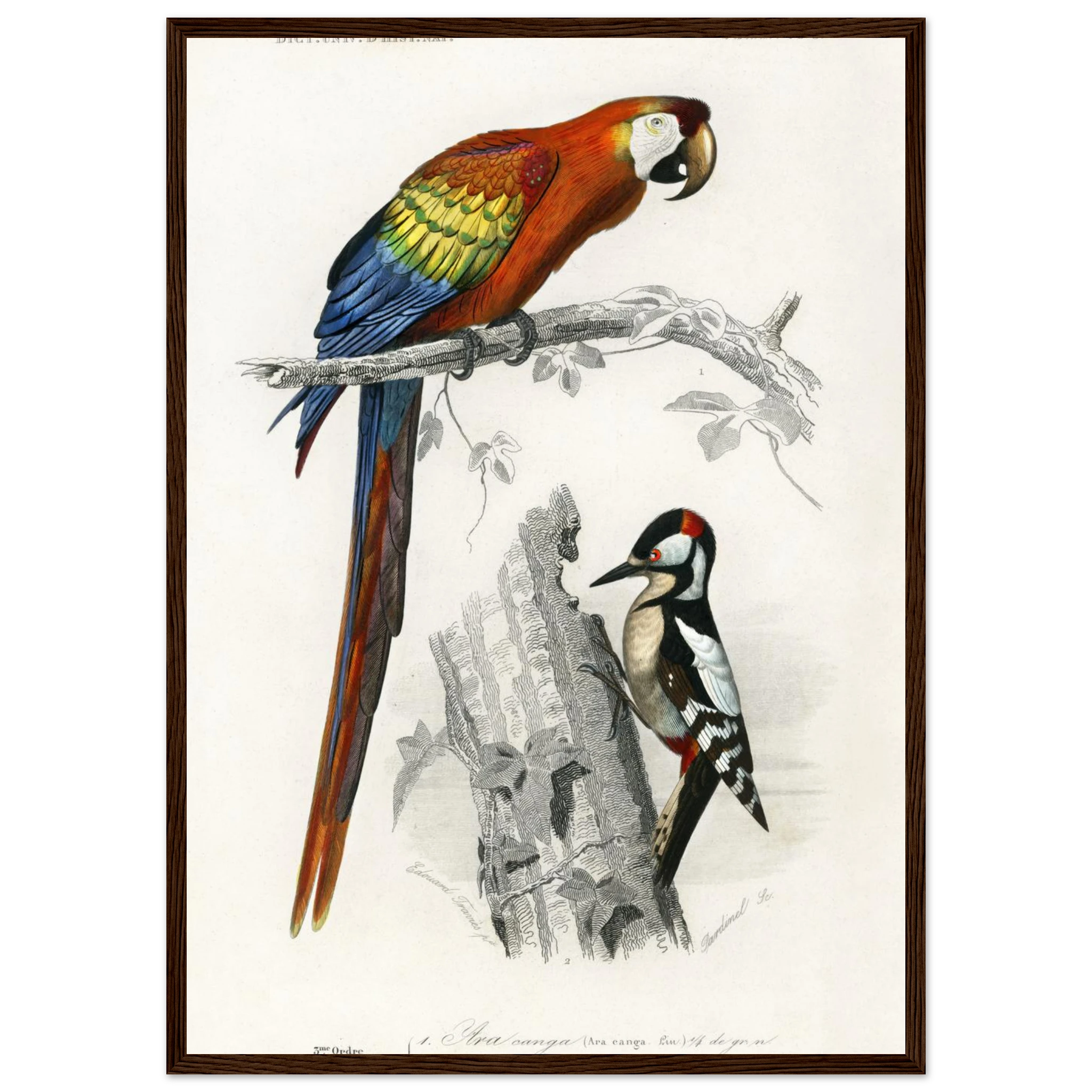 d881616c-102d-49ee-b0fb-112bafcf106a