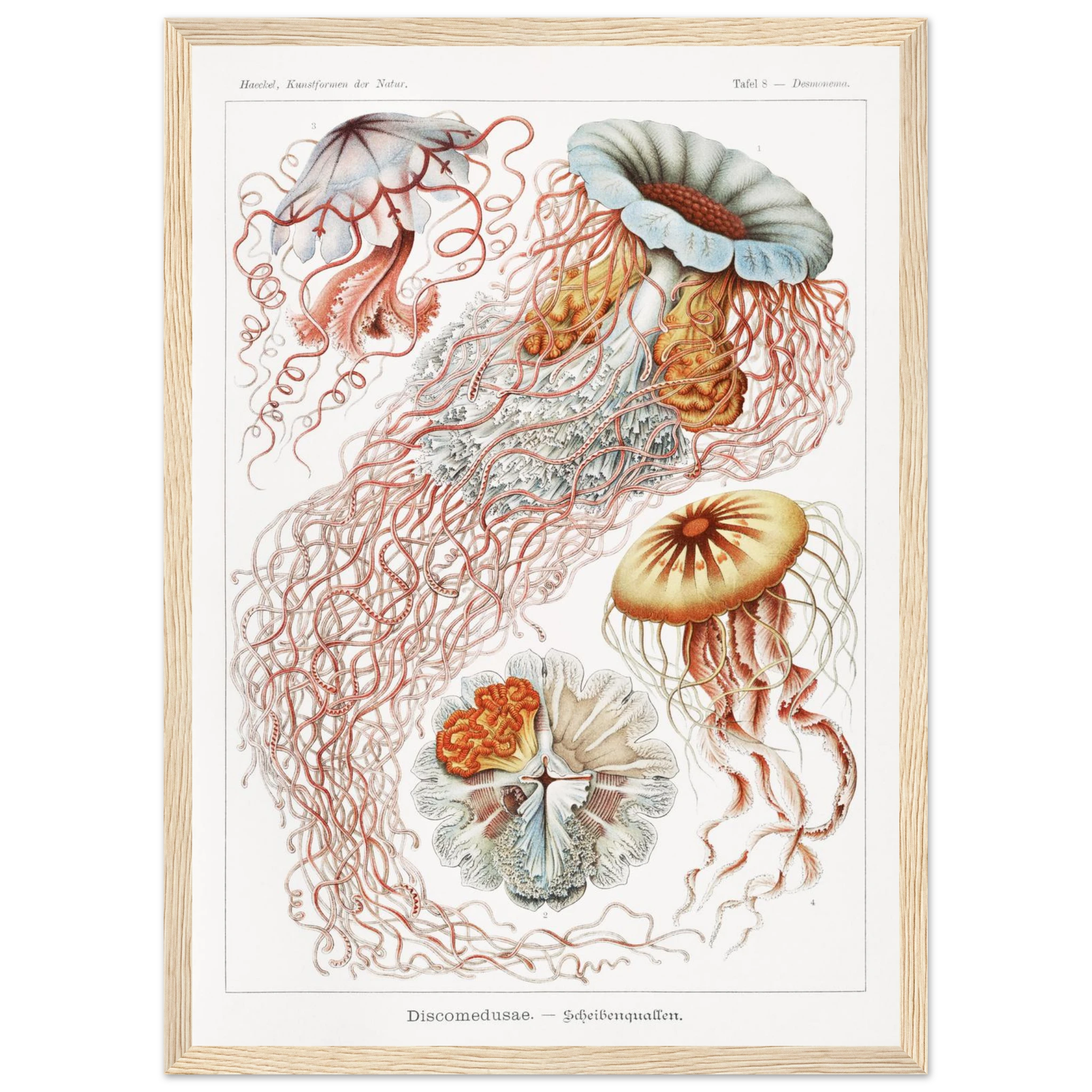 d88d9659-c14c-4244-8262-266b4680ceb9