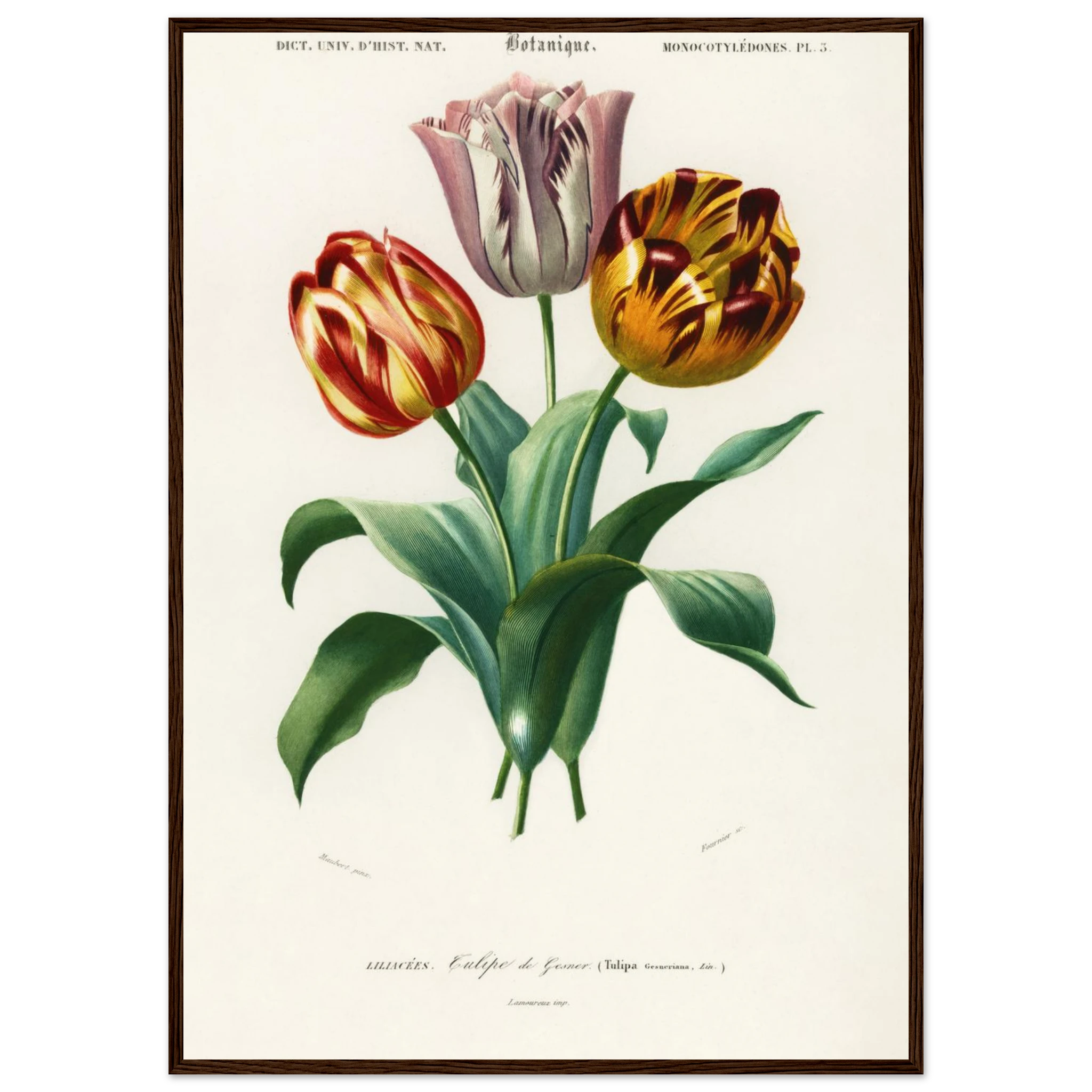 d89475ee-29c7-4437-83f1-27217cc5c13e